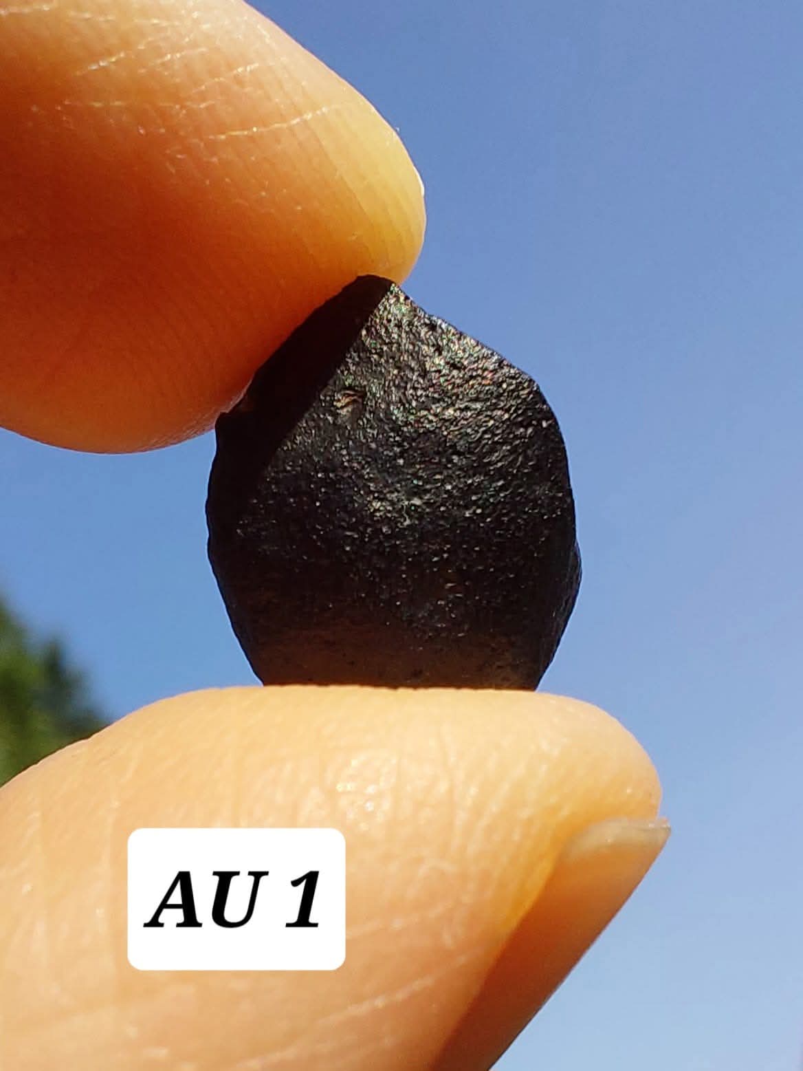 Australite, 1.54g, Tektite (Ref: AU1)