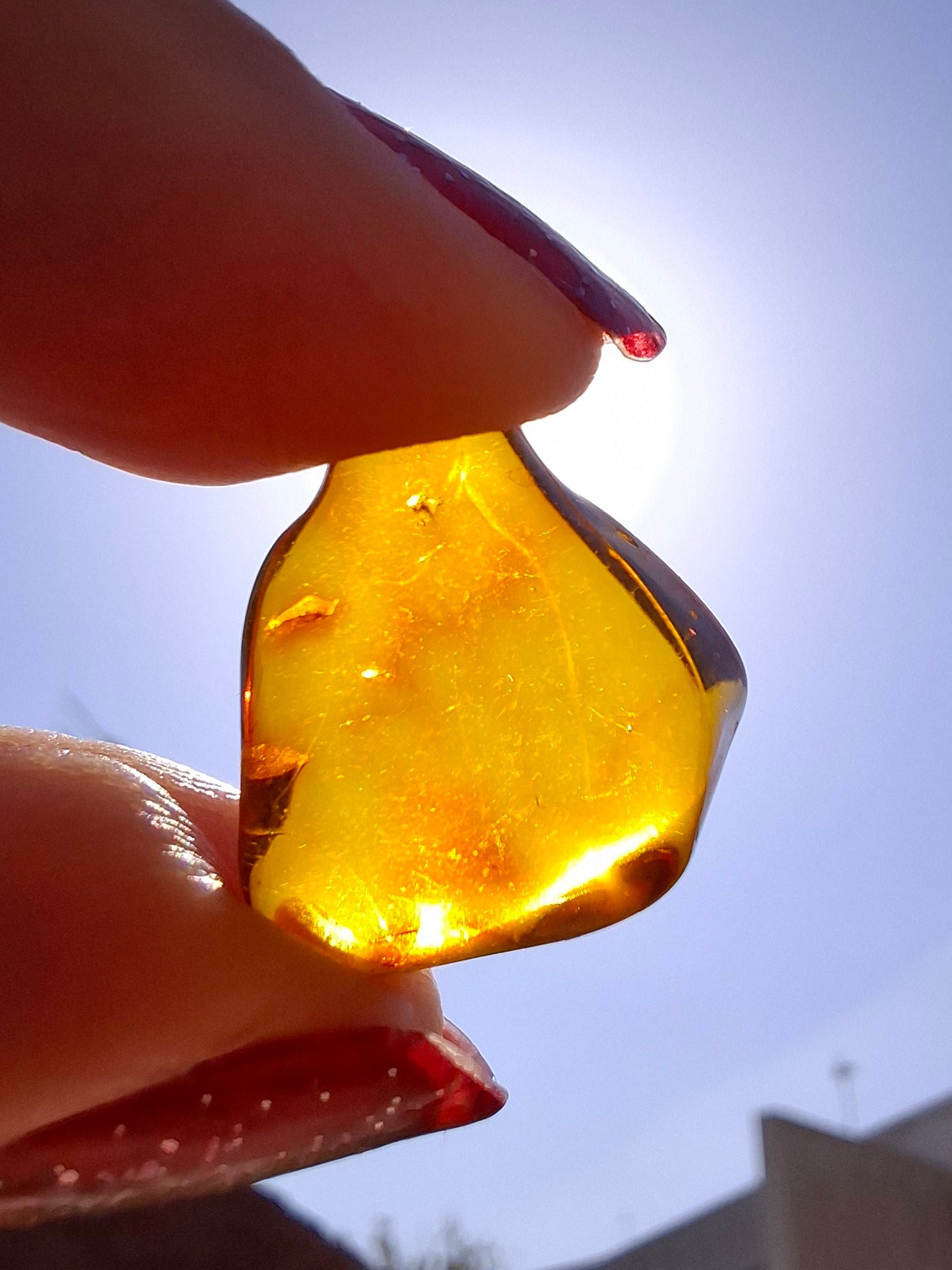 Baltic Amber, 0.88g, Fossil (Ref: A254)