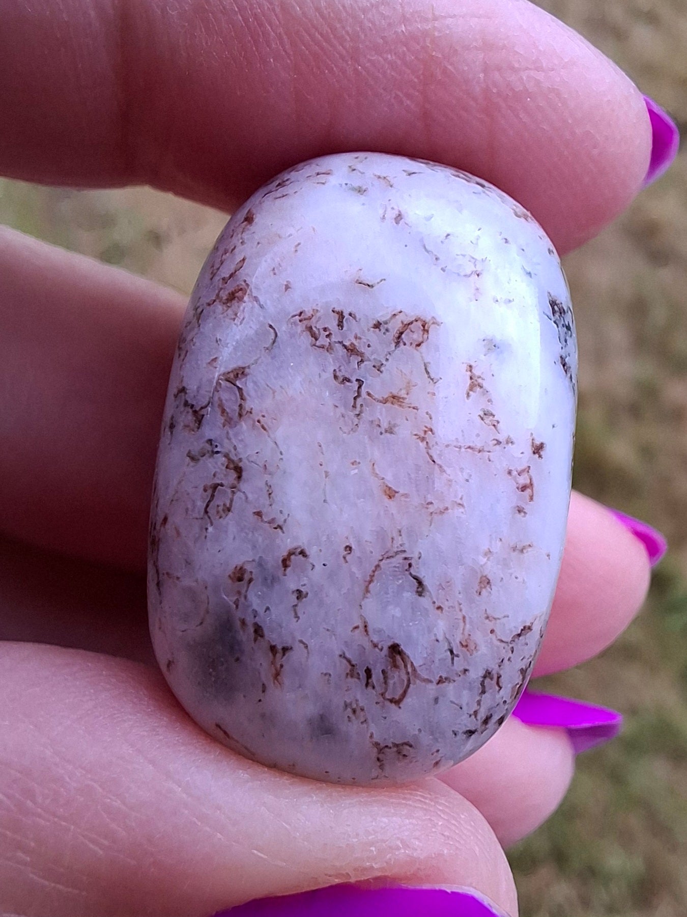 Tree Agate, Tumble Stone, Crystal (Ref: T6)