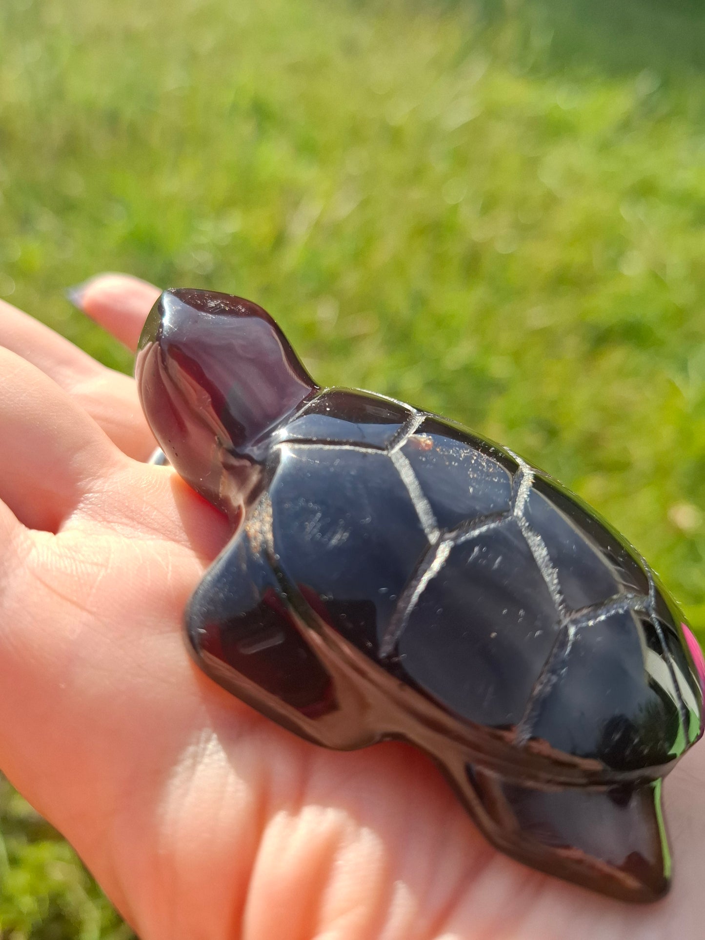 Red Amber Turtle, 47.85g, Carving, Fossil (Ref: TT4)