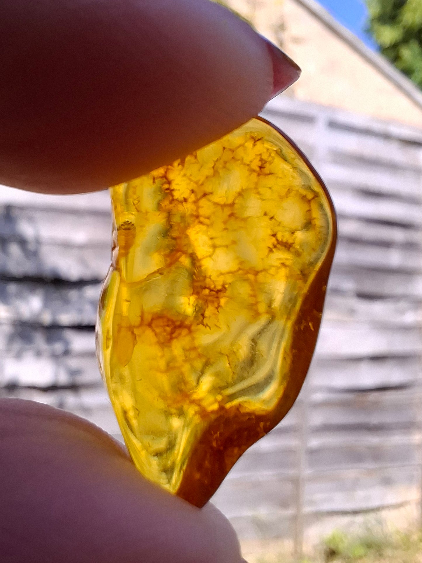 Baltic Amber, 1.16g, Fossil (Ref: A126)