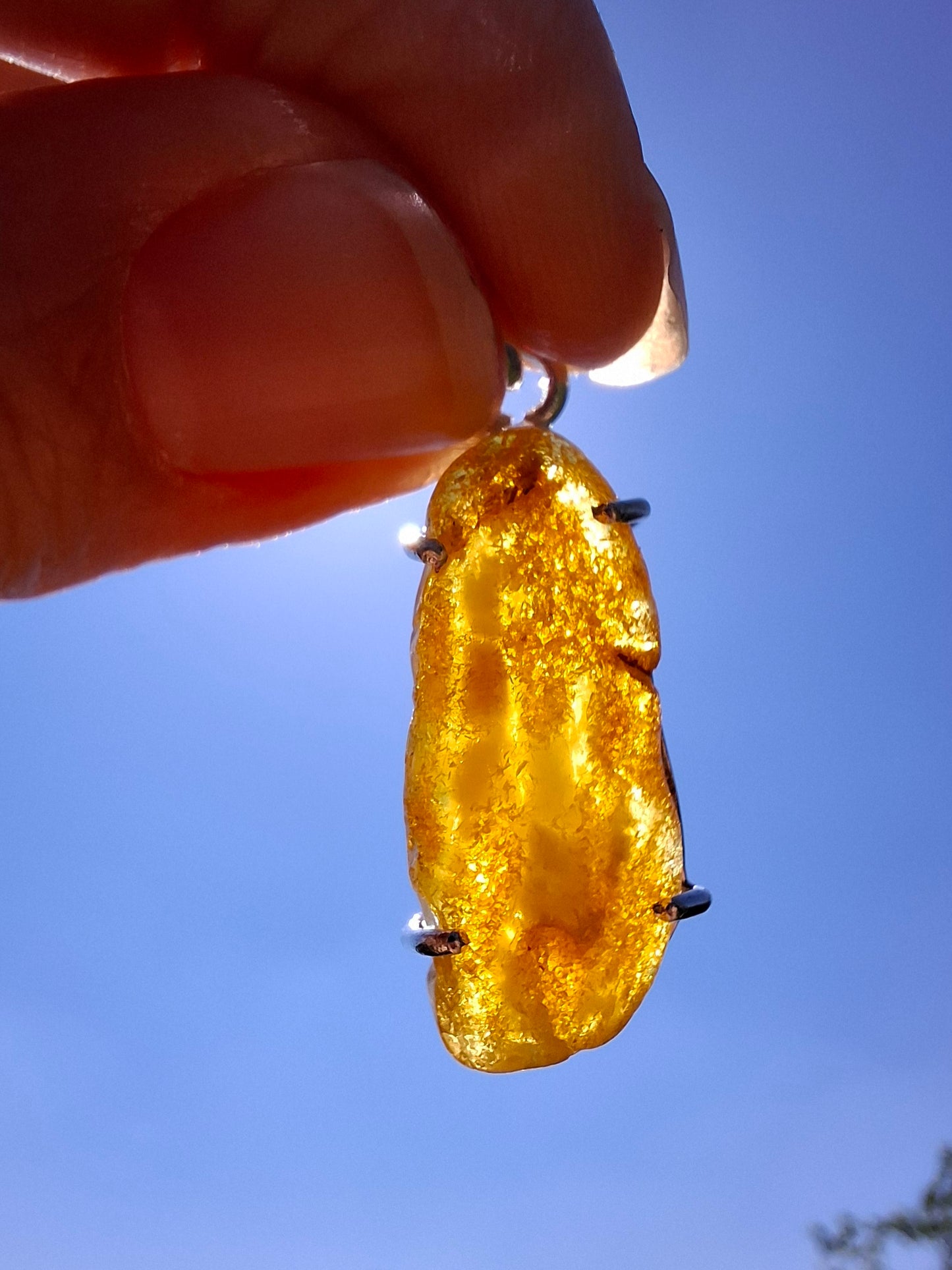 Baltic Amber Pendant, 925 Silver, Fossil (Ref: AP2)