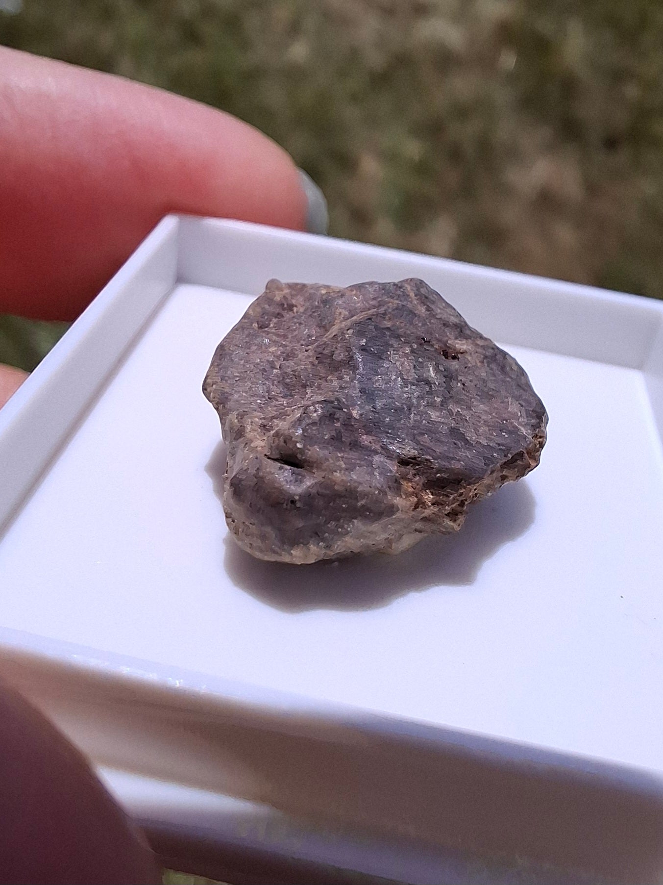 Chondrite, Meteorite (Ref: CM10)
