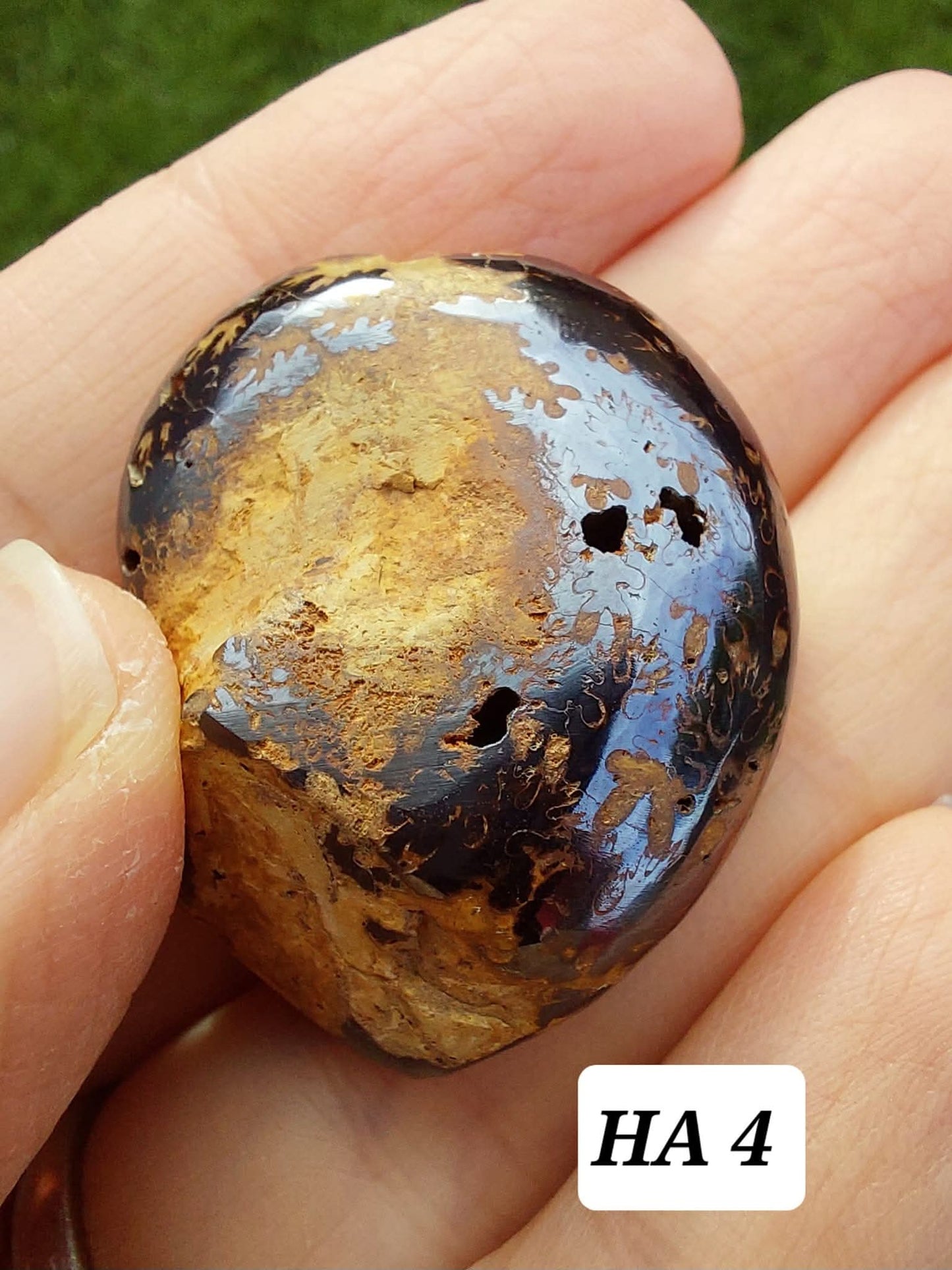 Hematite Ammonite, 18.26g, Fossil (Ref: HA4)