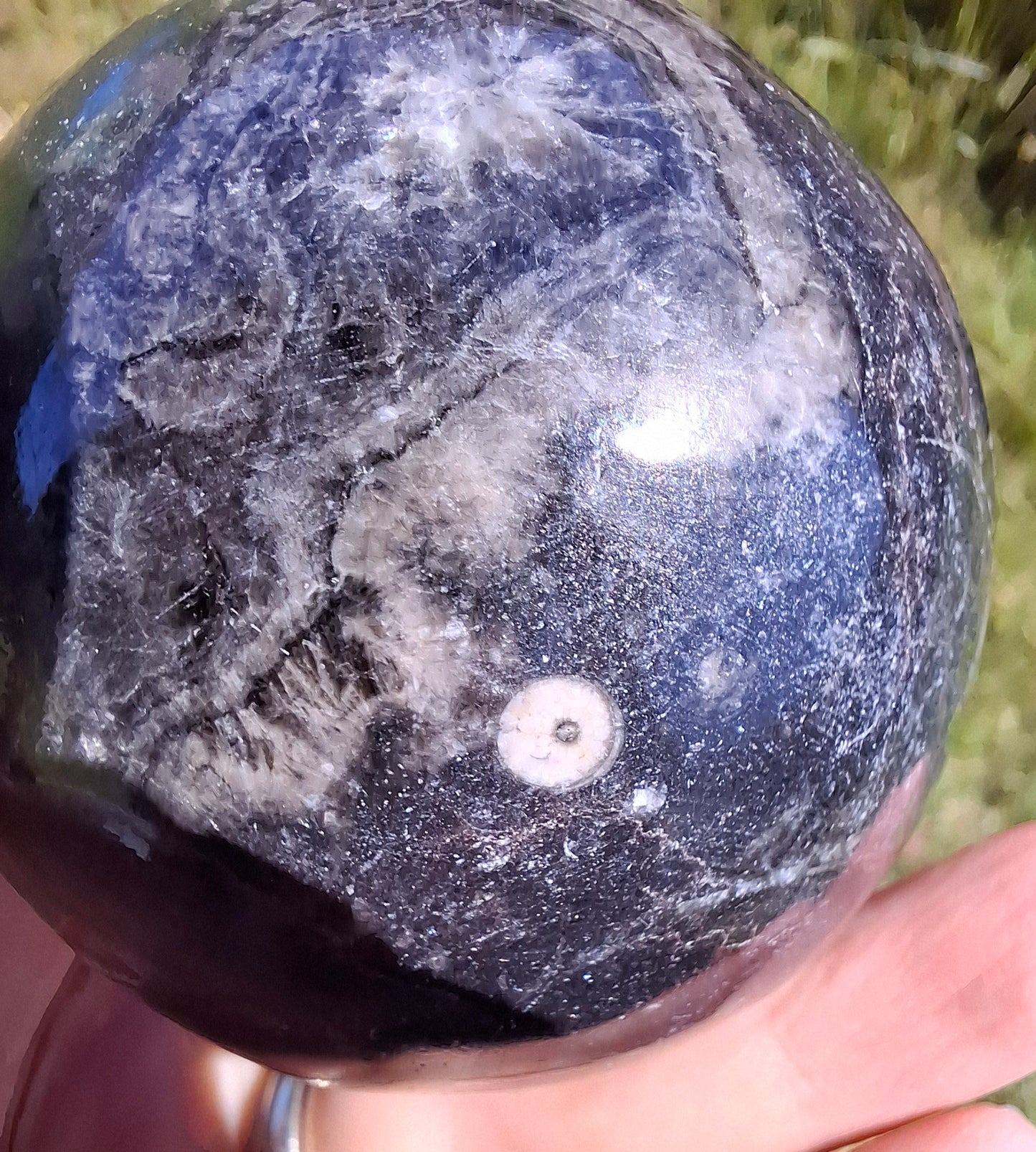 Orthoceras Sphere, Fossil (Ref: OS3)