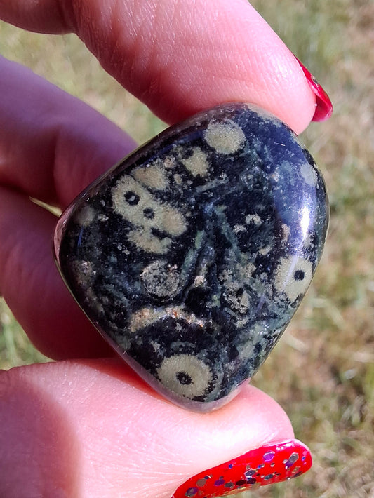 Kambaba Jasper, Tumble Stone, Crystal (Ref: T163)