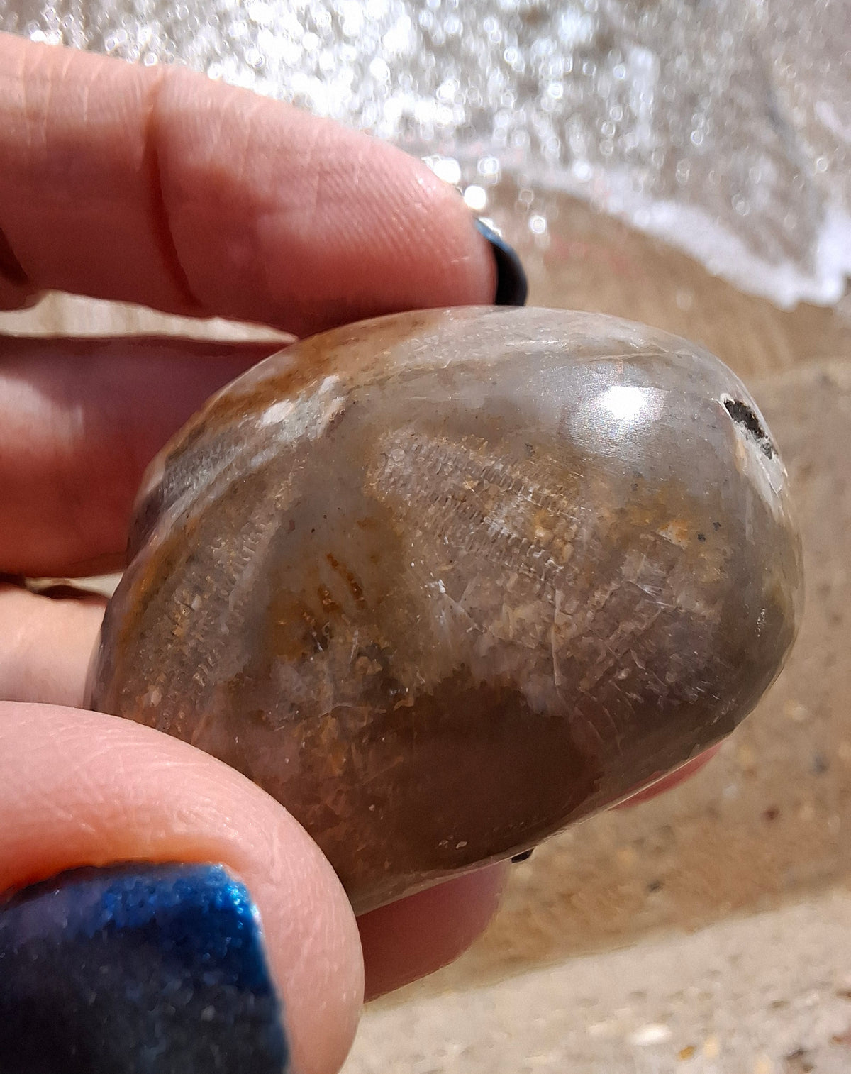 Polished Sea Urchin, Fossil (Ref: SU3)