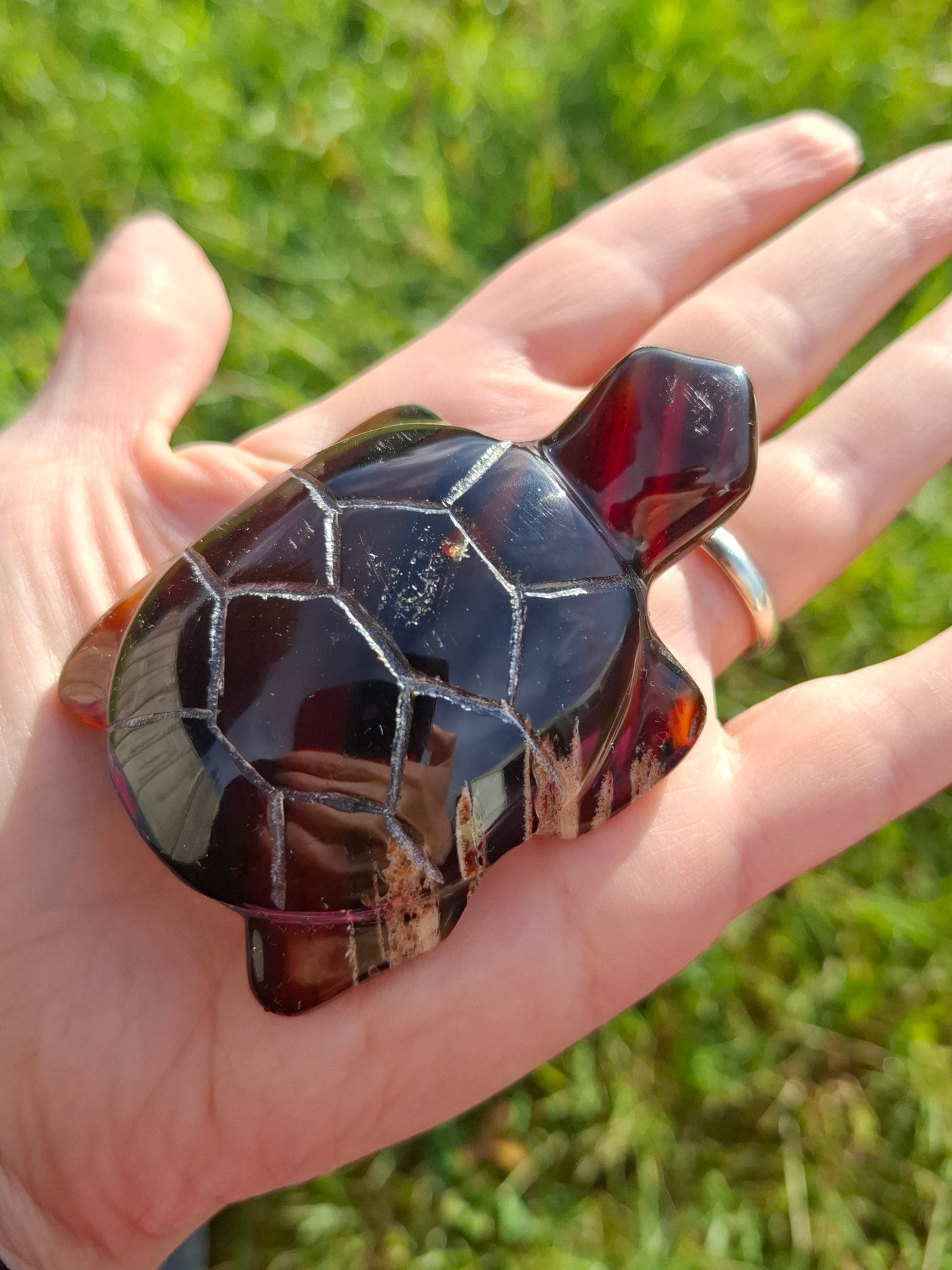 Red Amber Turtle, 47.85g, Carving, Fossil (Ref: TT4)