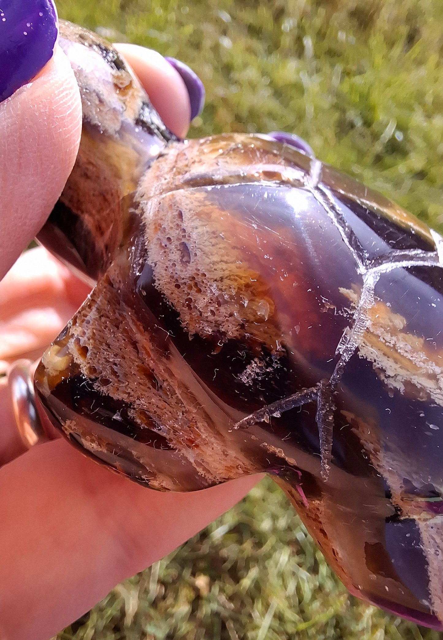 Red Amber Turtle, 56.87g, Carving, Fossil (Ref:TT7)