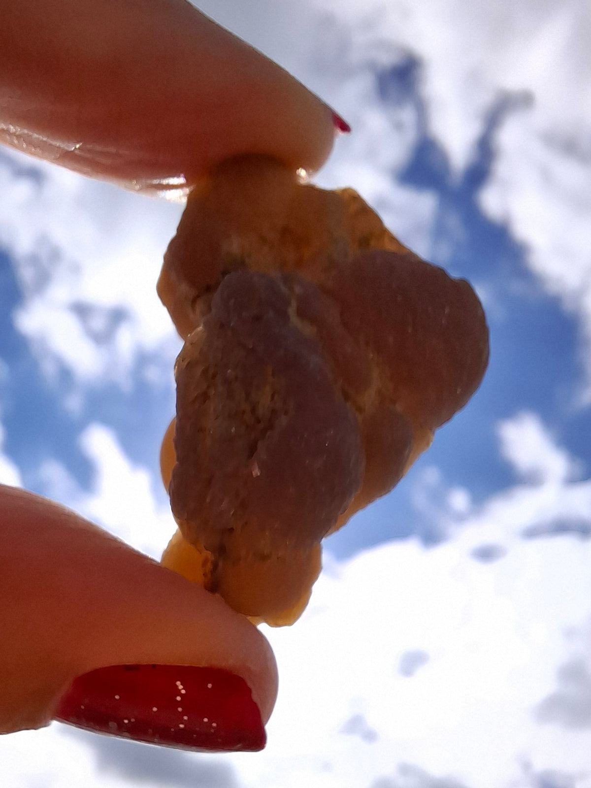 Nebula Chalcedony, 16.92g, Fossil (Ref: NC6)