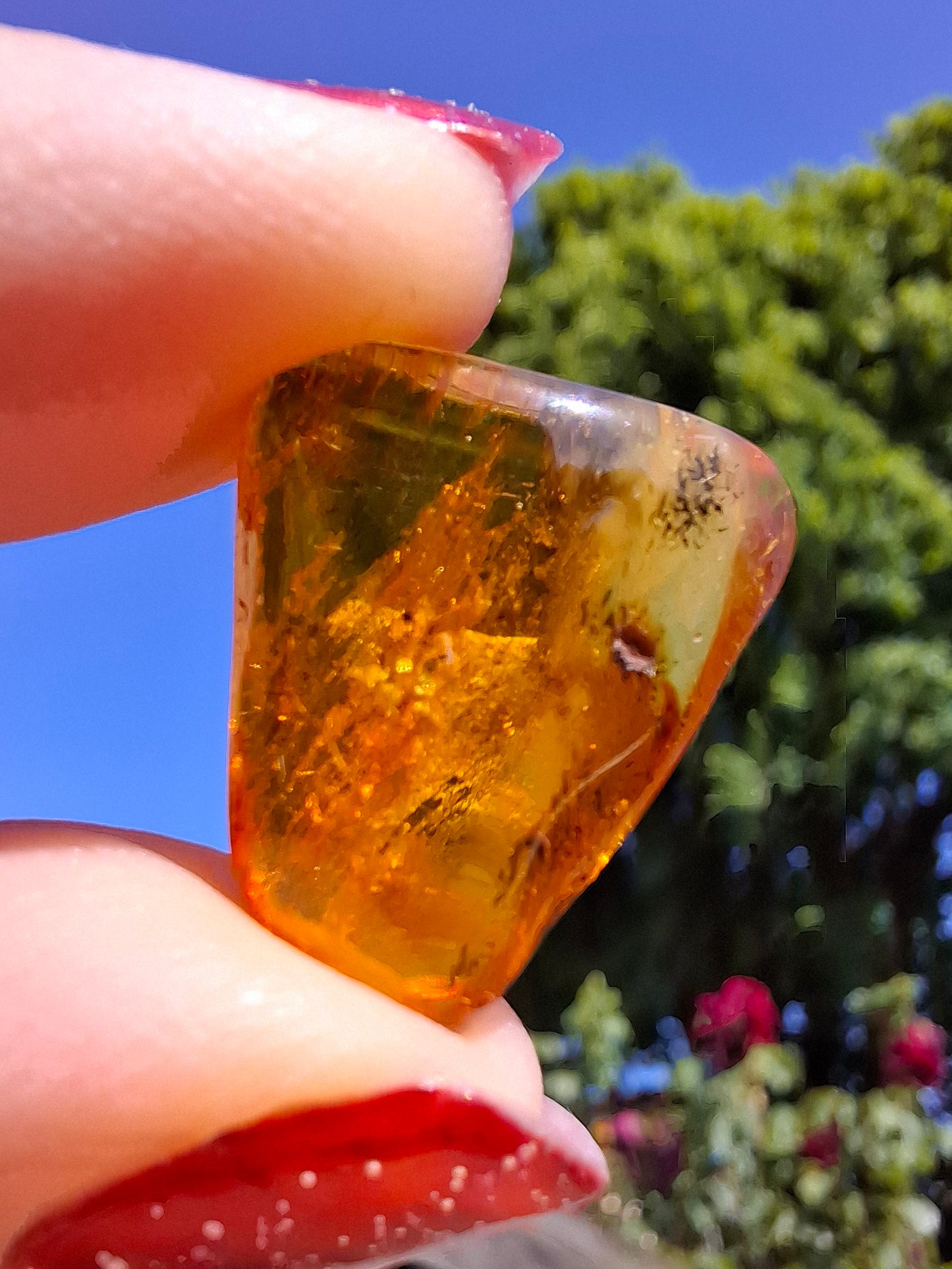 Baltic Amber, 1.61g, Fossil (Ref: A186)