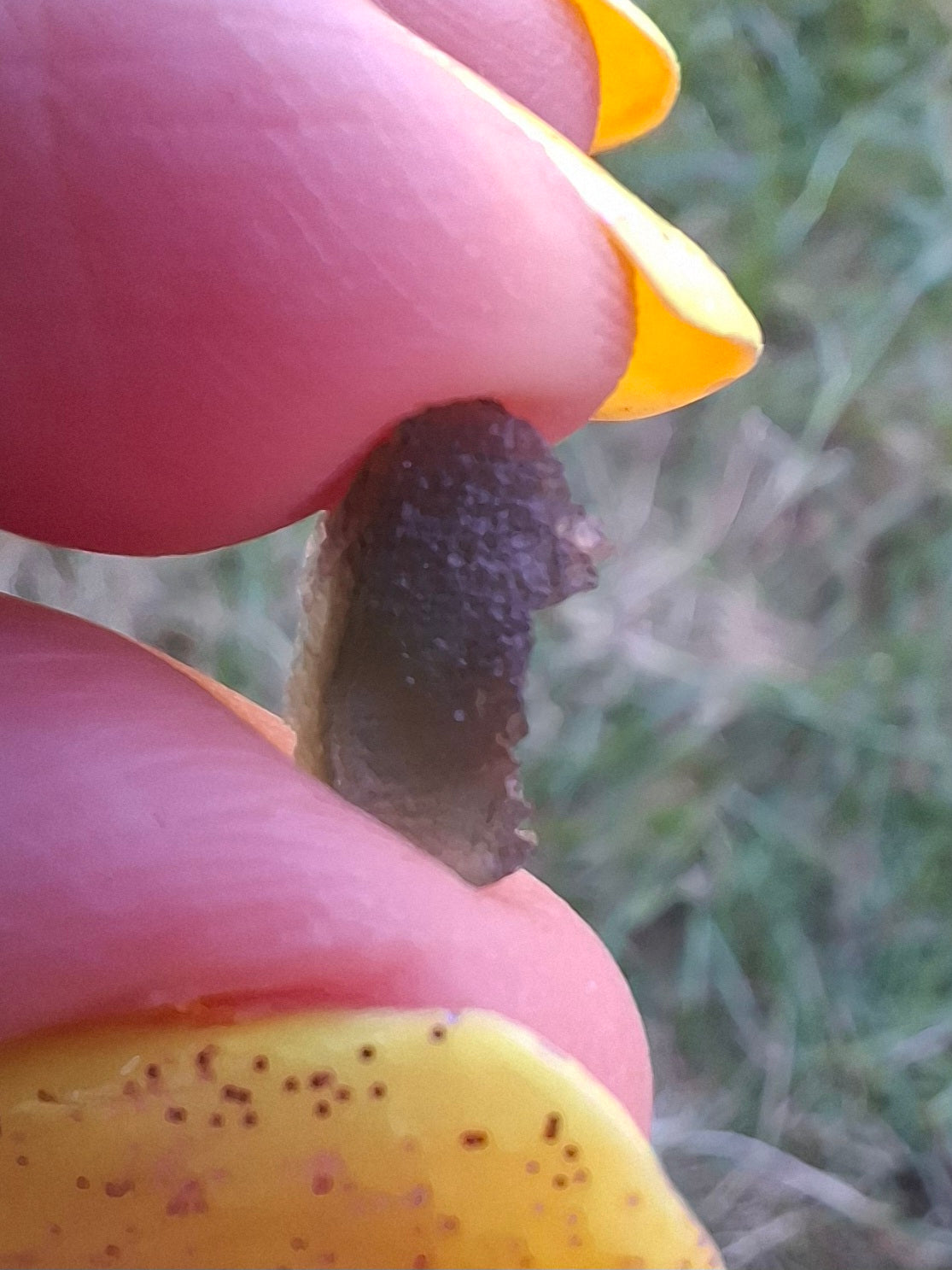 Moldavite small Piece, 0.37g, Tektite (Ref: 1478)