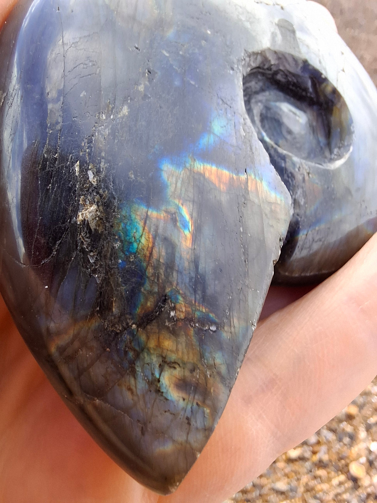 Labradorite Ammonite Carving, 153.97g, Crystal (Ref: laba2)