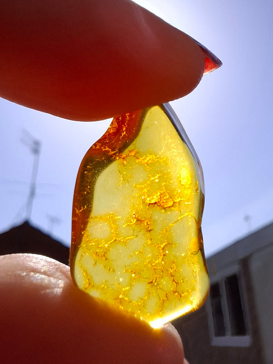 Baltic Amber, 1.16g, Fossil (Ref: A126)
