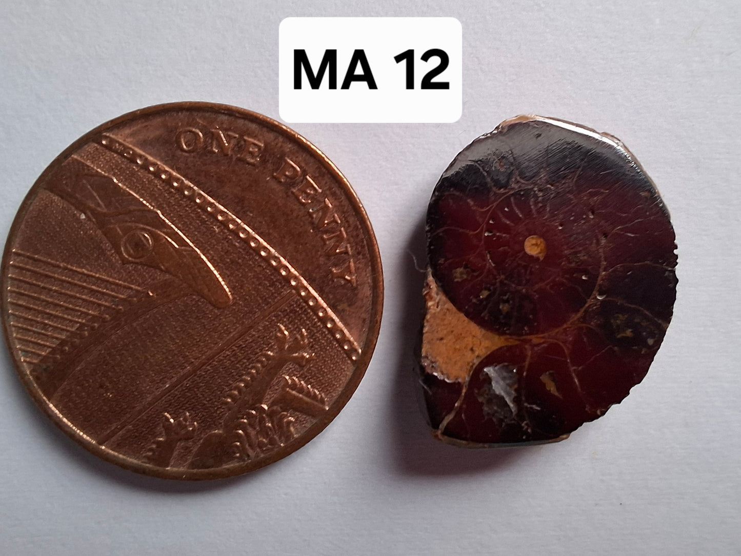 Small Haematite Ammonite HALF, 1.36g, Fossil (Ref: MA12)