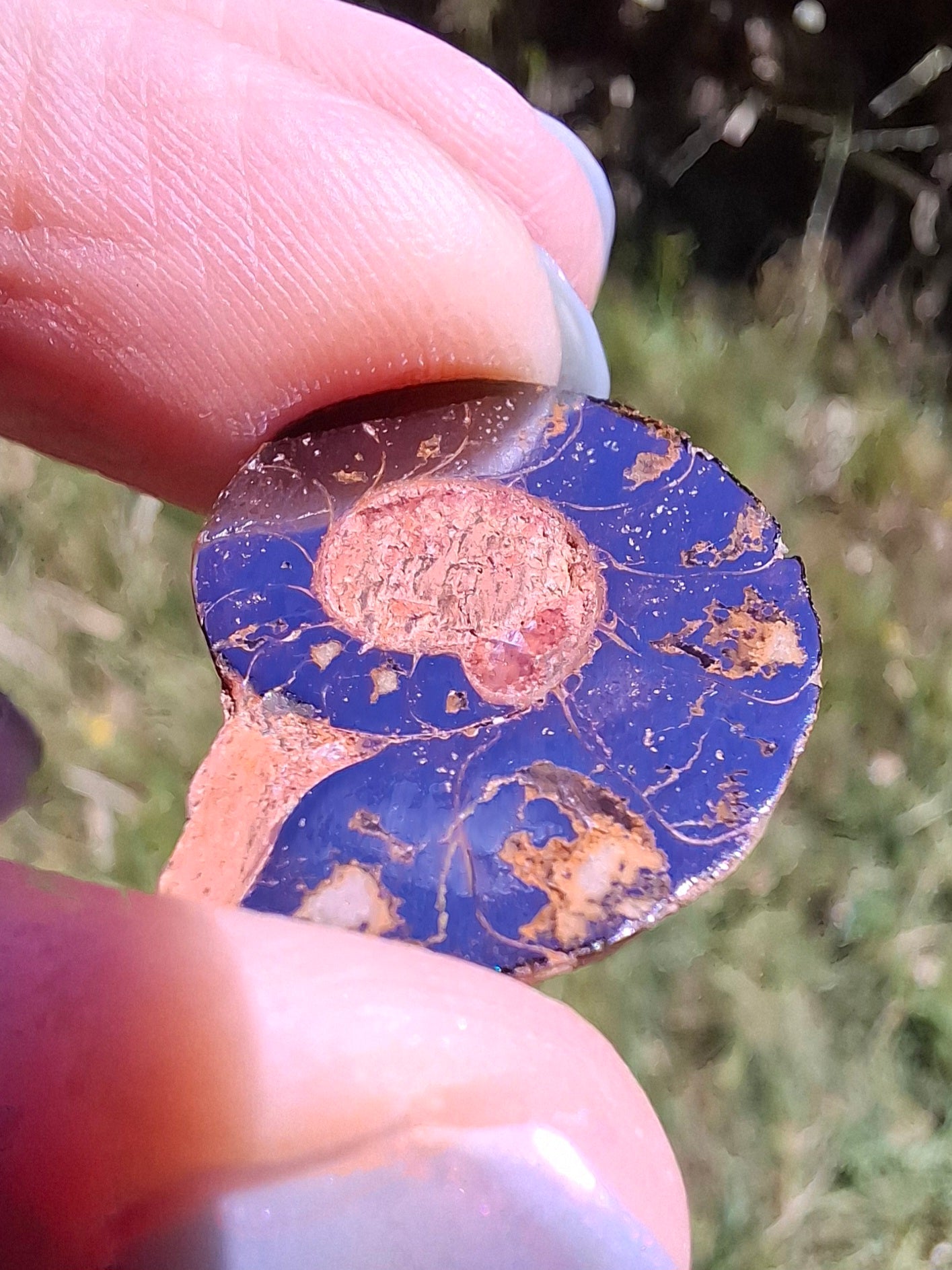 Small Haematite Ammonite HALF, (2.91g), Fossil (Ref: MA1)