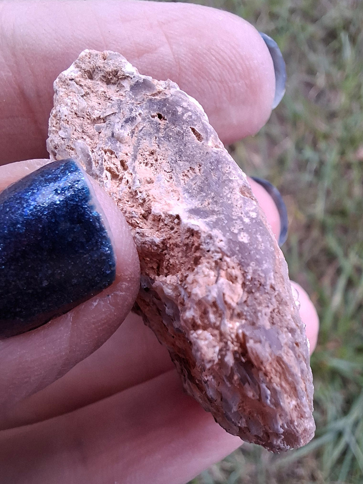 Chalcedony Oyster, Fossil (Ref: FO8)
