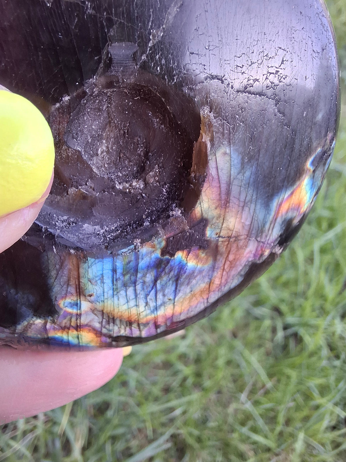 Labradorite Ammonite Carving, 89.31g, Crystal (Ref: laba6)