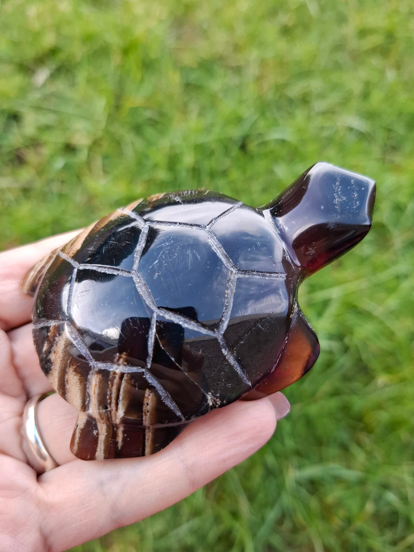 Red Amber Turtle, 59.07g, Carving, Fossil (Ref: TT5)