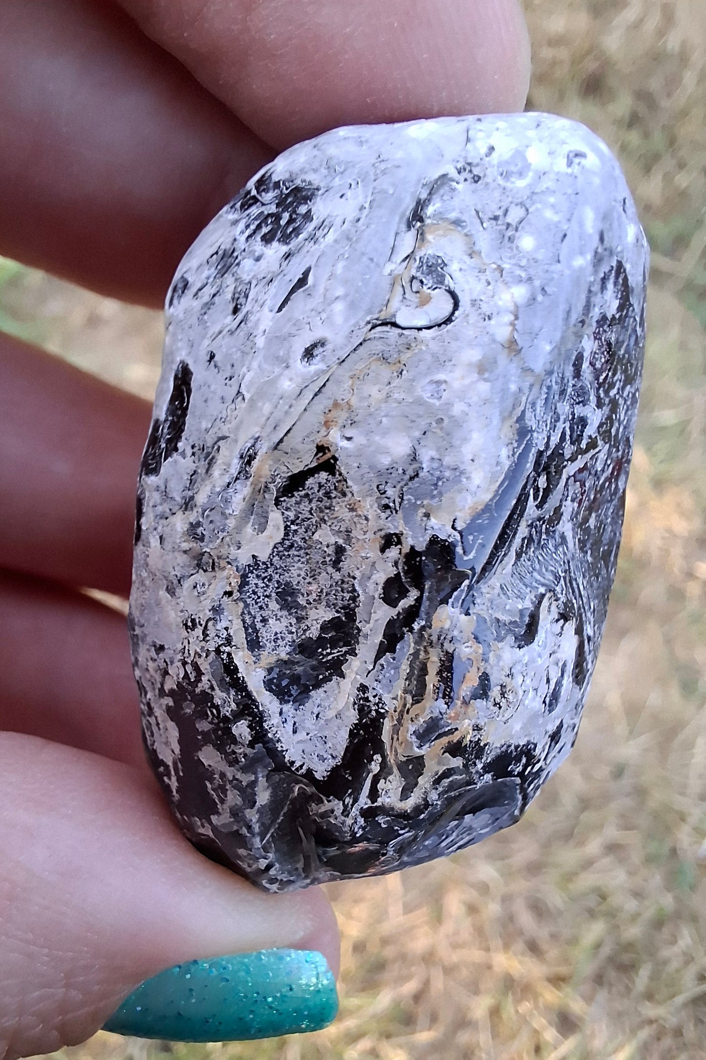 Apache Tear, Crystal (Ref: ApT2)