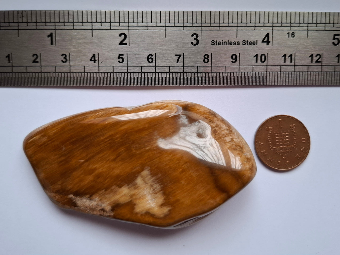 Fossilised Wood (polished), 74.86g, Fossil (Ref: FE1)