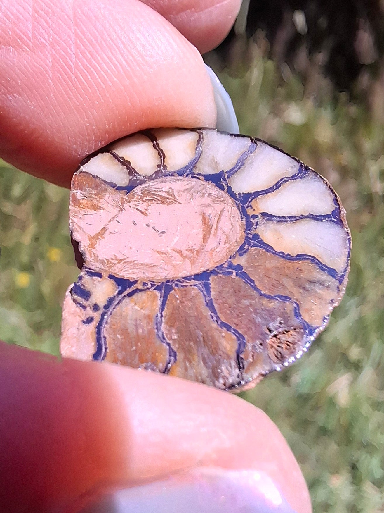 Small Haematite Ammonite HALF, 1.66g, Fossil (Ref: MA2)