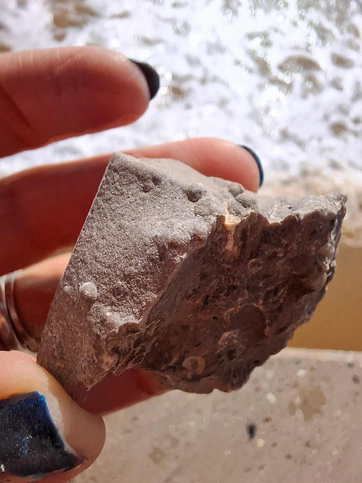 Ammonite Cluster, Fossil (Ref: ACL1)