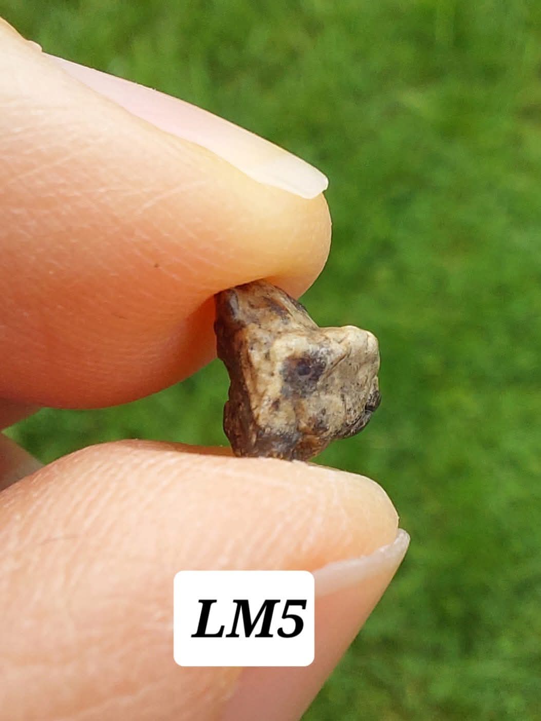 Lunar Meteorite, 0.32g, 'Moon Rock' (Ref: LM5)