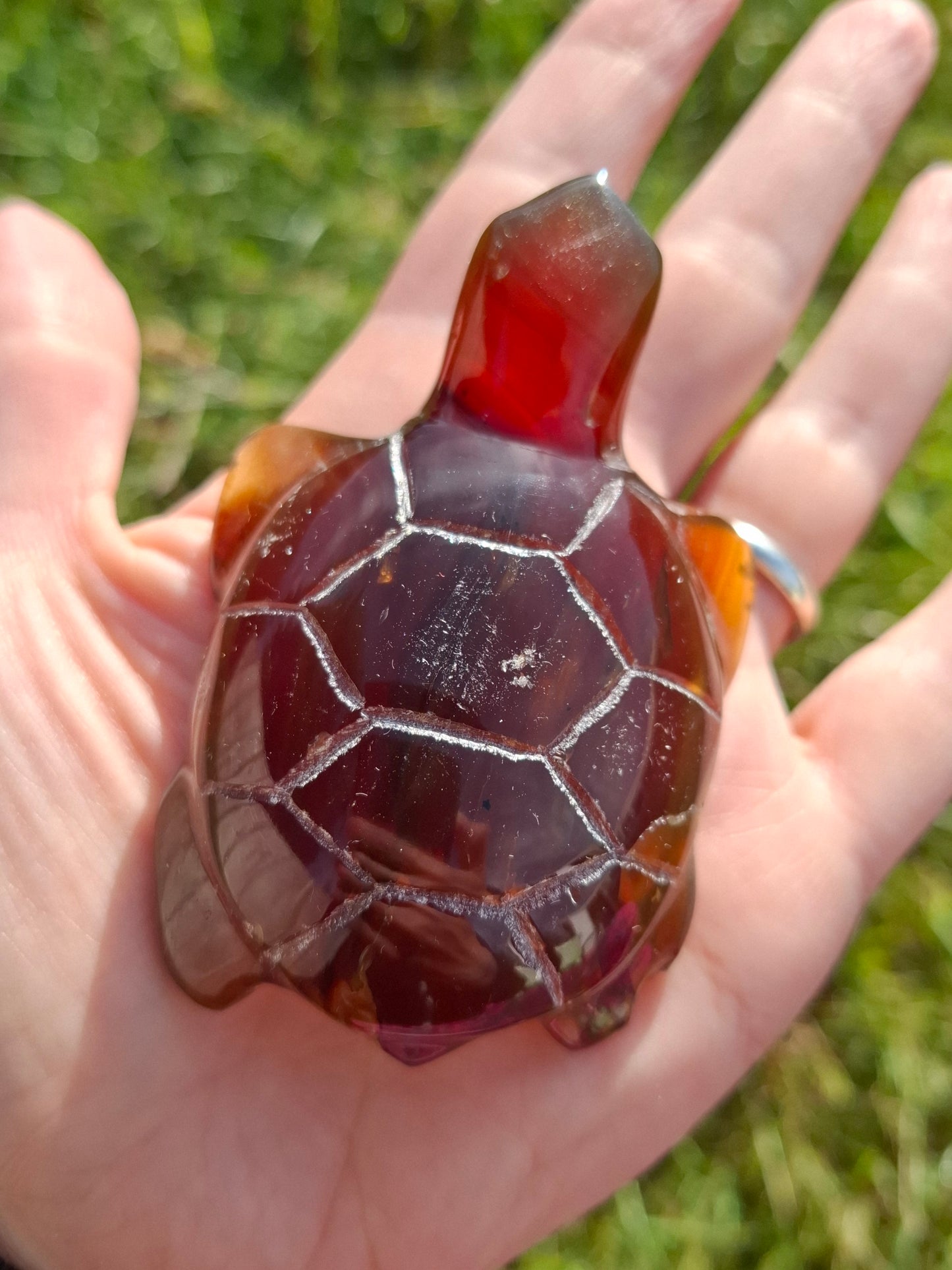 Red Amber Turtle, 49.15g, Carving, Fossil (Ref: TT1)