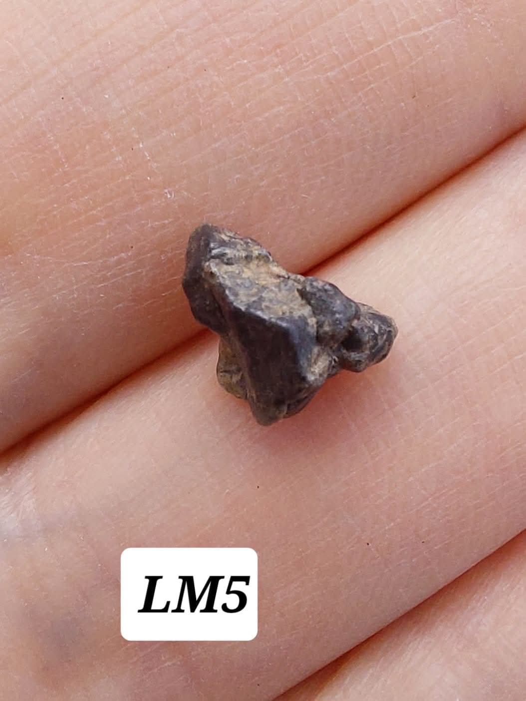 Lunar Meteorite, 0.32g, 'Moon Rock' (Ref: LM5)