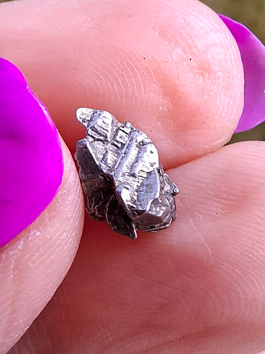Campo del Cielo, 0.87g, Nickel Iron Meteorite (Ref: C4)