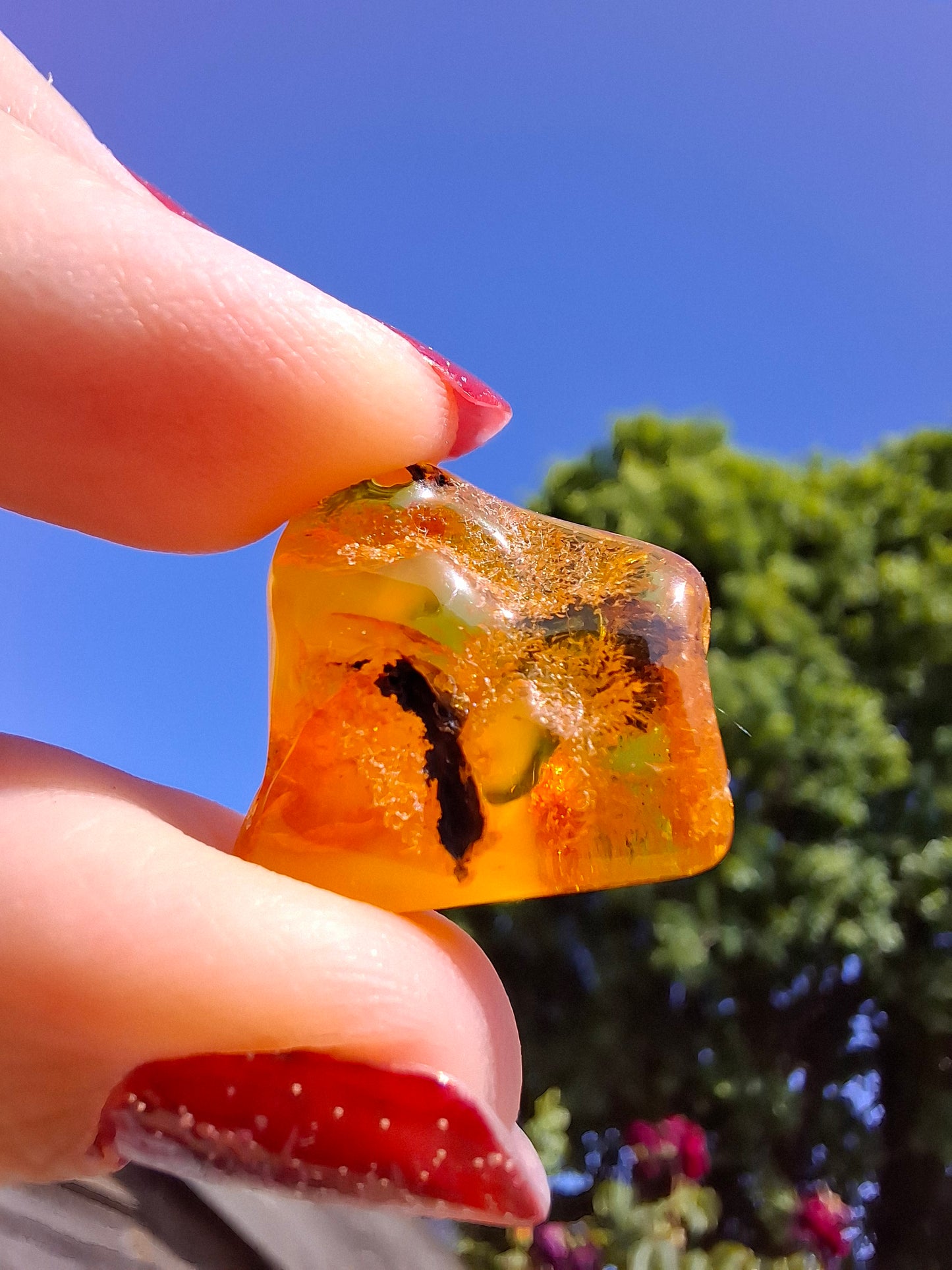 Baltic Amber, 1.74g, Fossil (Ref: A201)