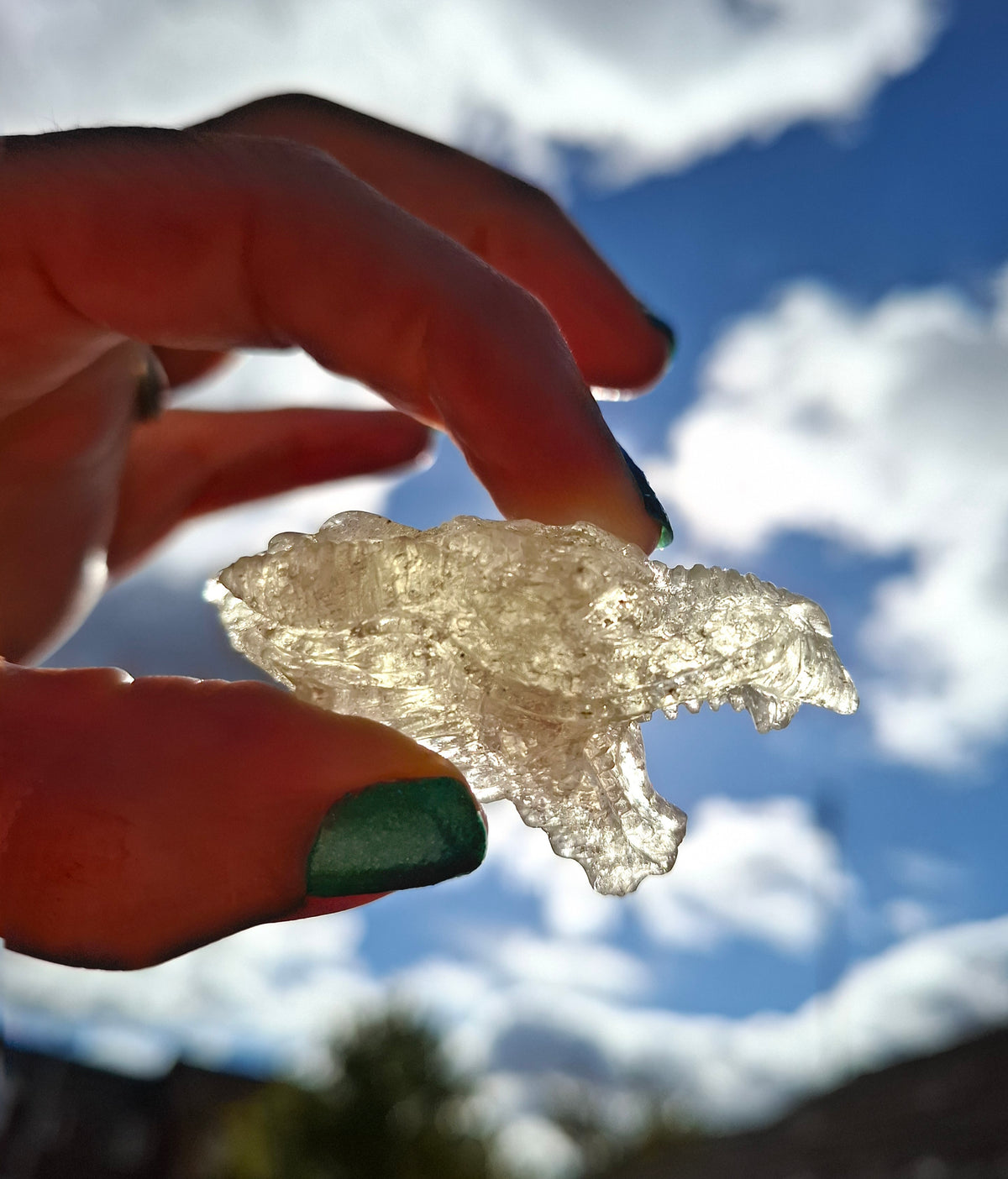 Libyan Desert Glass DRAGON HEAD carving, 22.42g, Tektite (Ref: Dragon 2)
