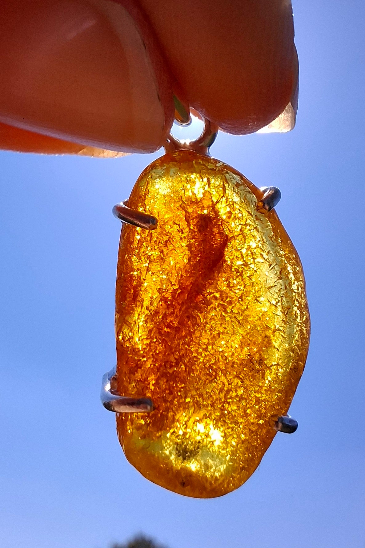 Baltic Amber Pendant, 925 Silver, Fossil (Ref: AP11)