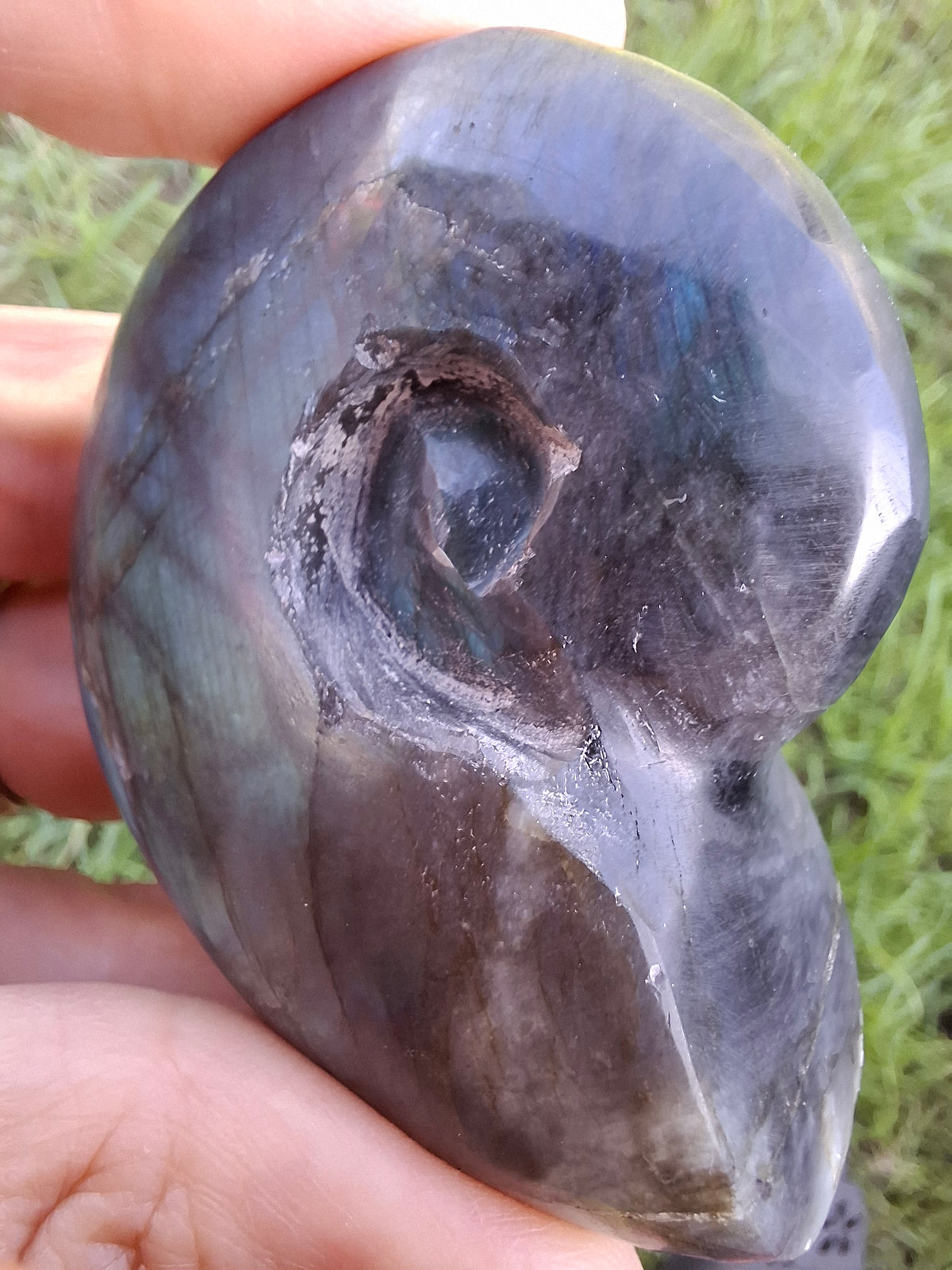 Labradorite Ammonite Carving, 111.66g, Crystal (Ref: laba3)