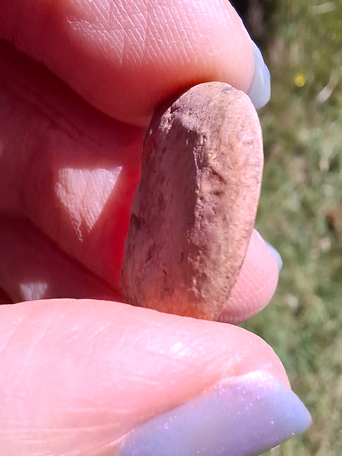 Small Haematite Ammonite HALF, 2.19g, Fossil (Ref: MA3)