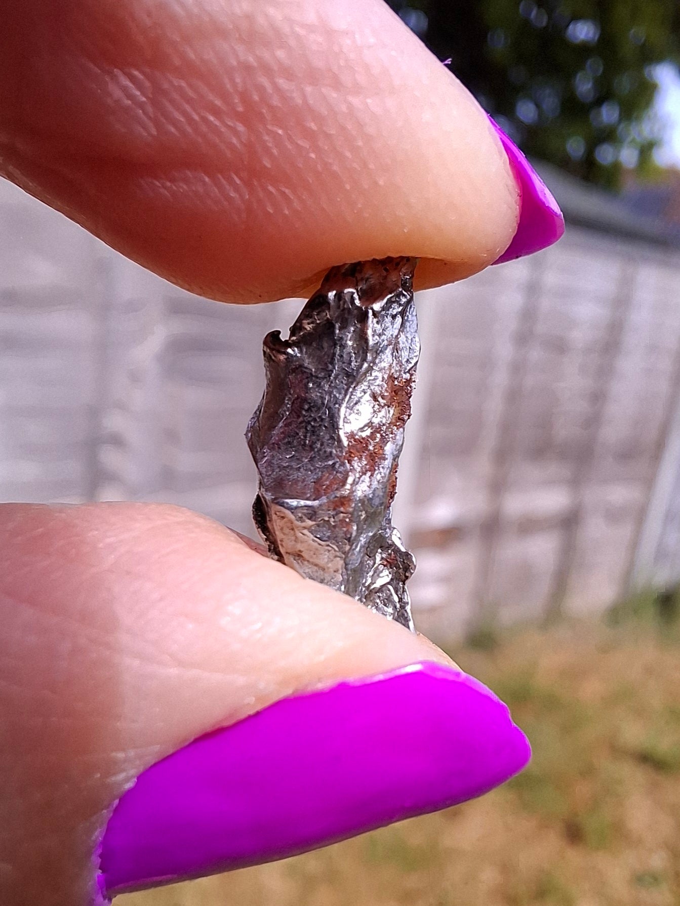 Campo del Cielo, 0.99g, Nickel Iron Meteorite (Ref: C8)