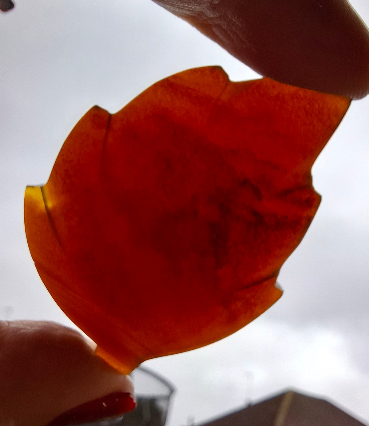 Red Amber Leaf Carving, 7.69g, Fossil (Ref: Leaf5)