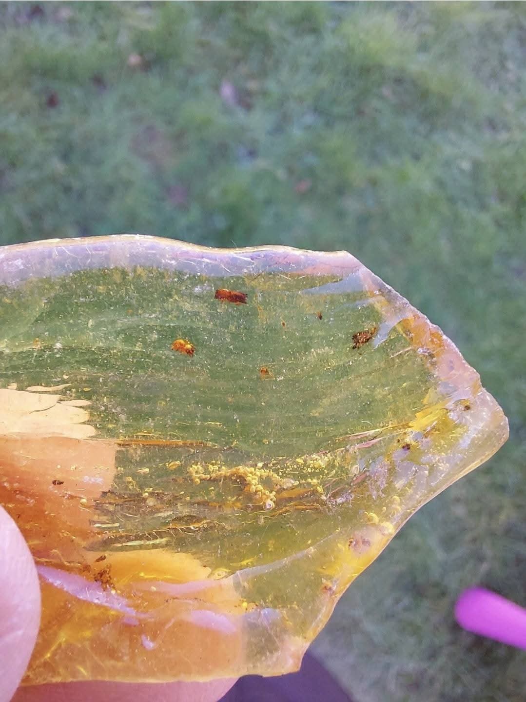 Copal Young Amber with INSECTS inside, 6.42g, Fossil (Ref: CA38)