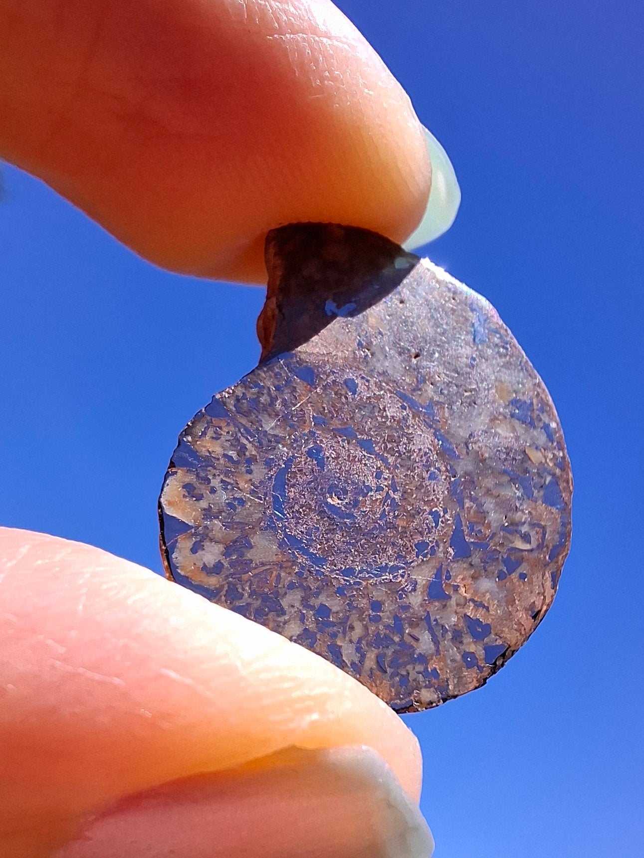 Small Haematite Ammonite HALF, 2.55g, Fossil (Ref: MA8)