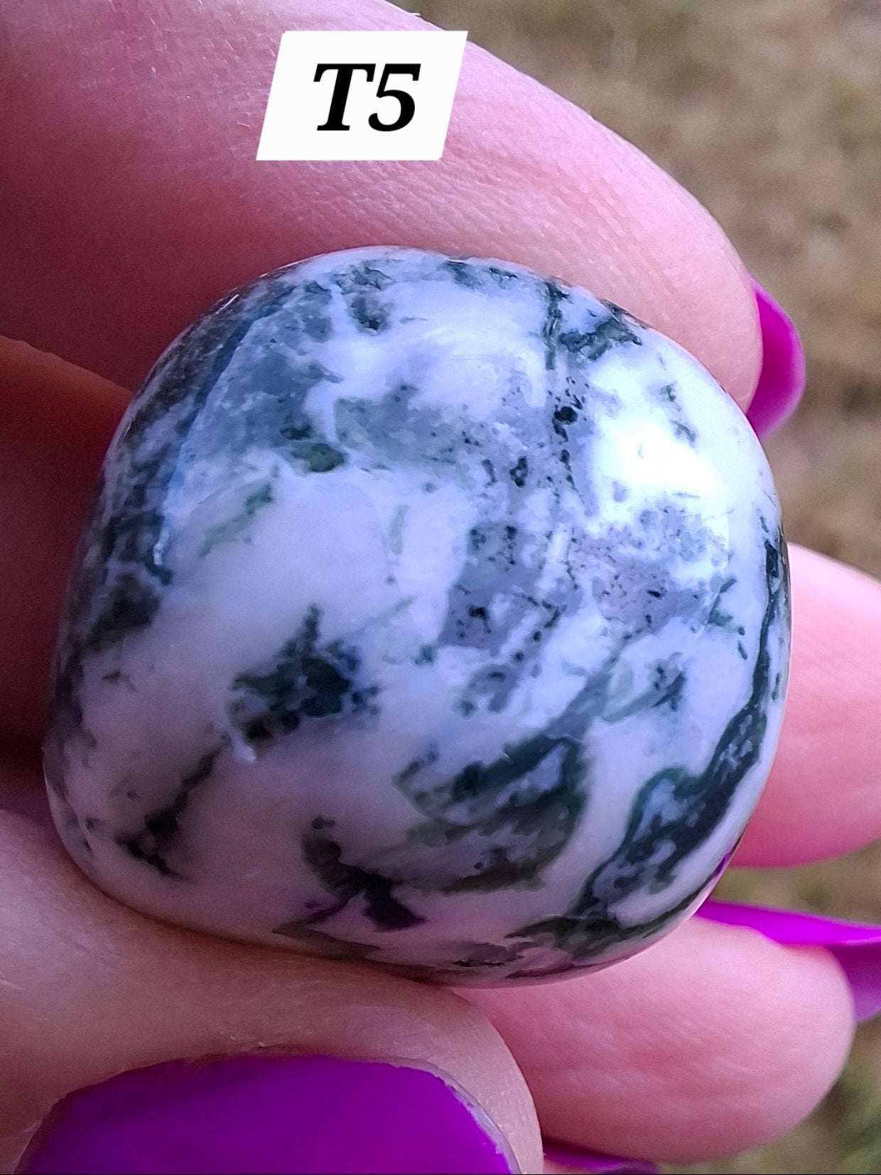 Tree Agate, Tumble Stone, Crystal (Ref: T5)