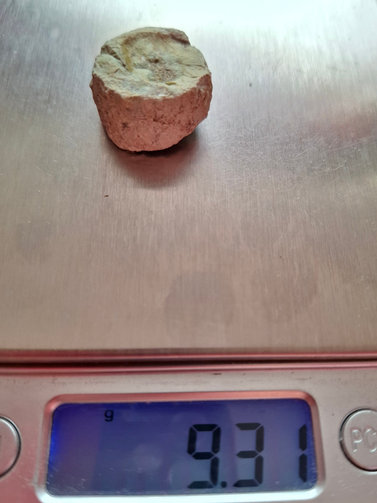 Sauropod Dinosaur Coprolite, 9.31g, Fossil (Ref: DP2)