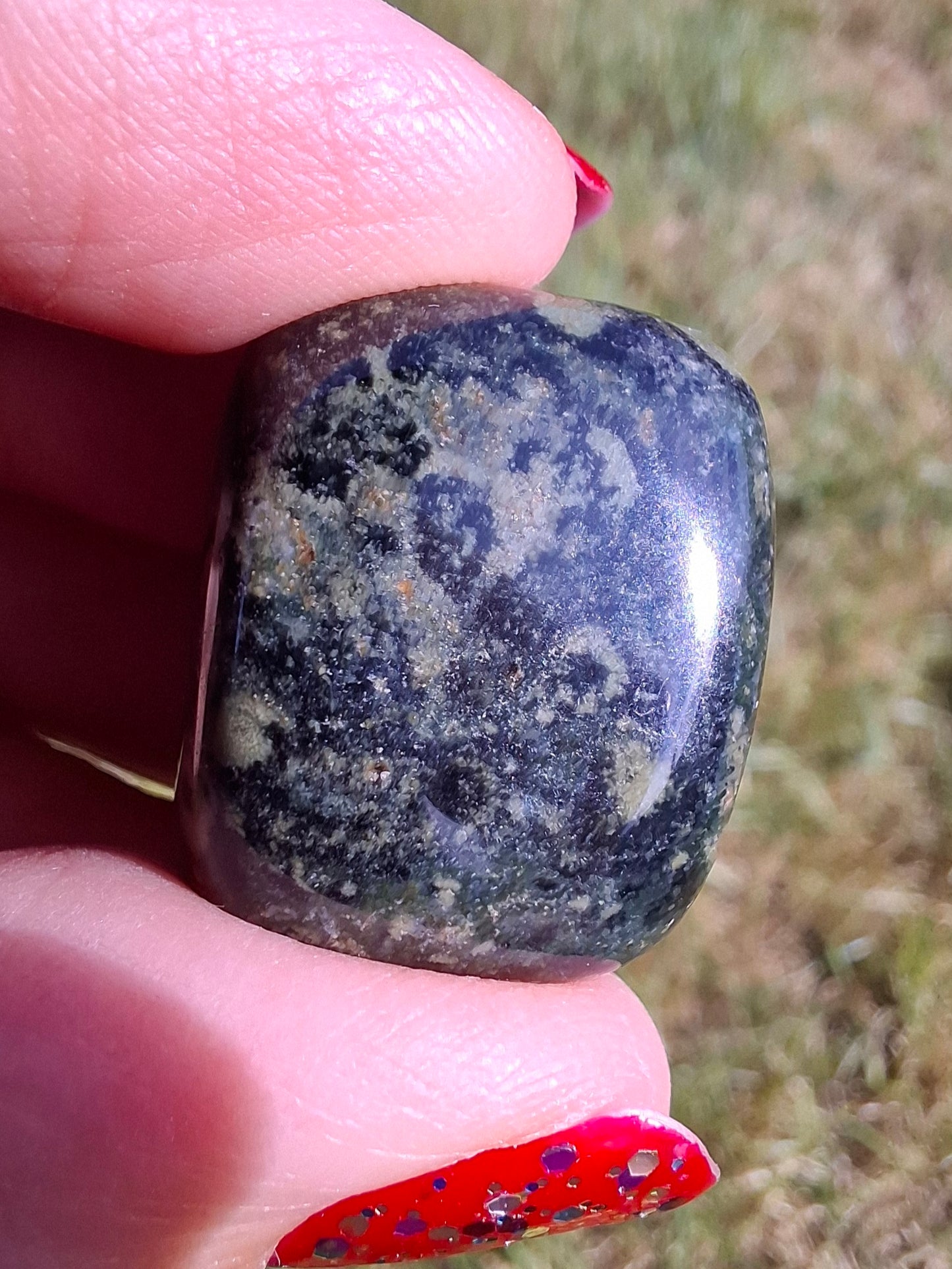 Kambaba Jasper, Tumble Stone, Crystal (Ref: T163)