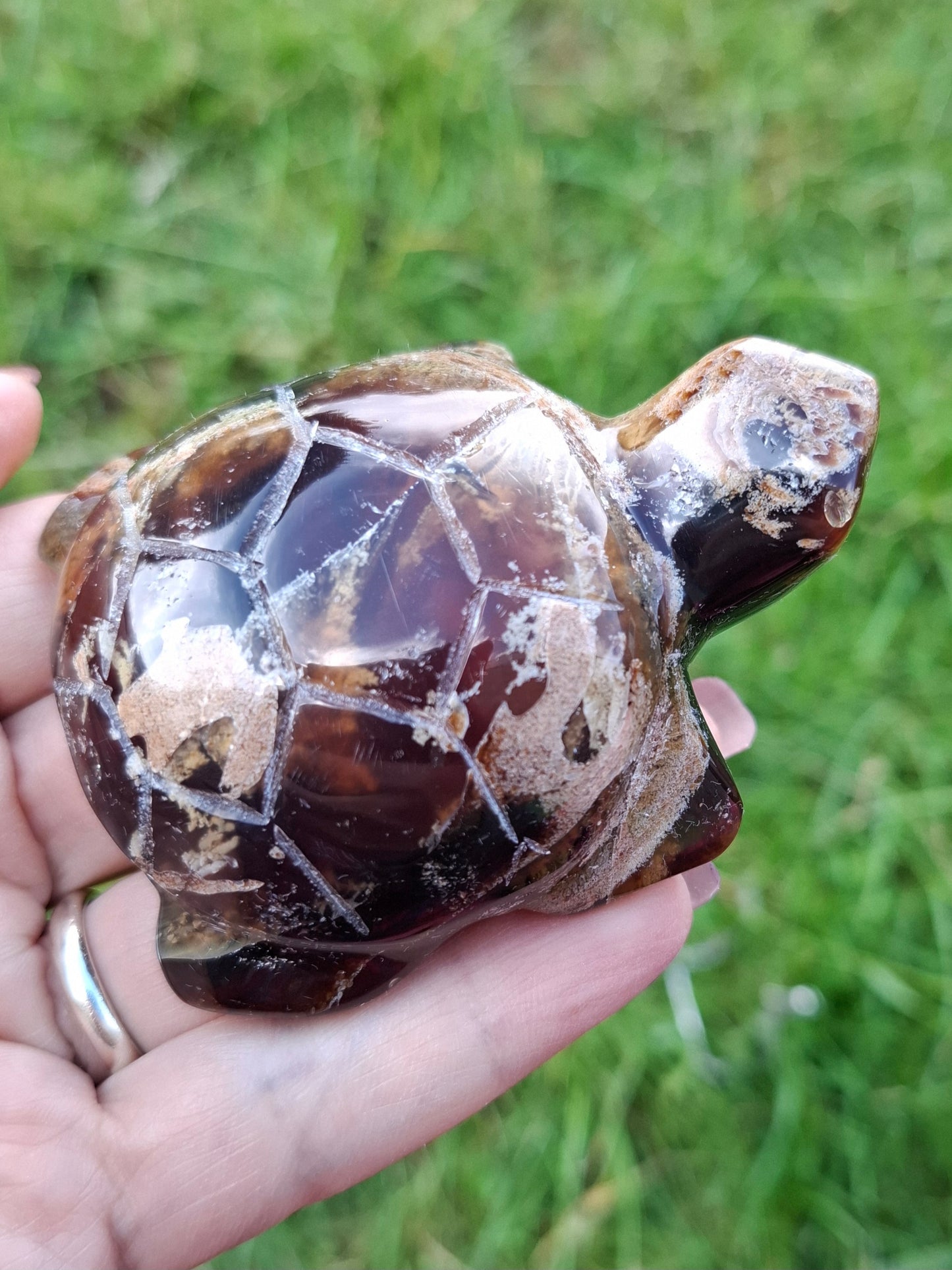 Red Amber Turtle, 56.87g, Carving, Fossil (Ref:TT7)