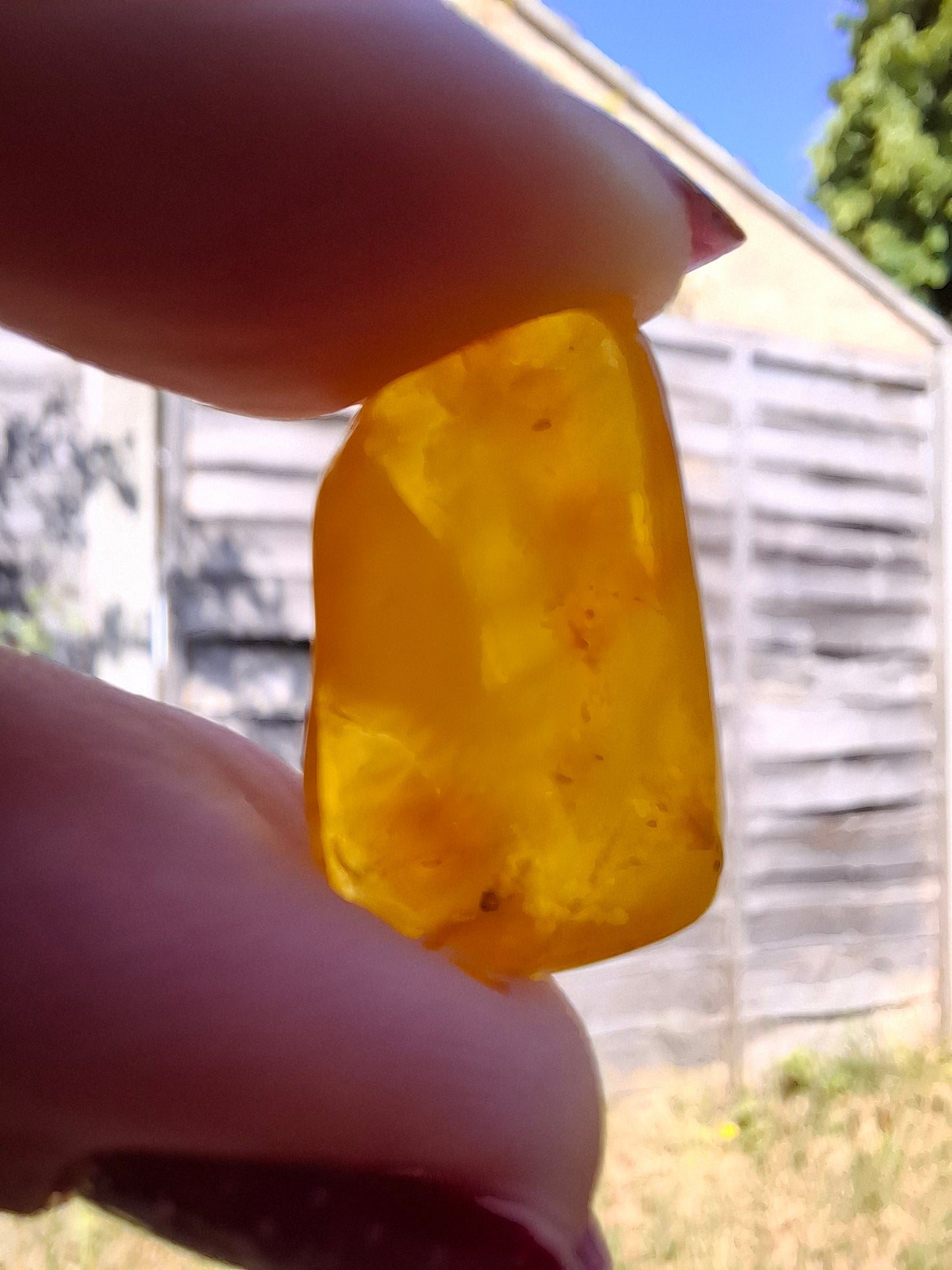 Baltic Amber, 1.20g, Fossil (Ref: A129)