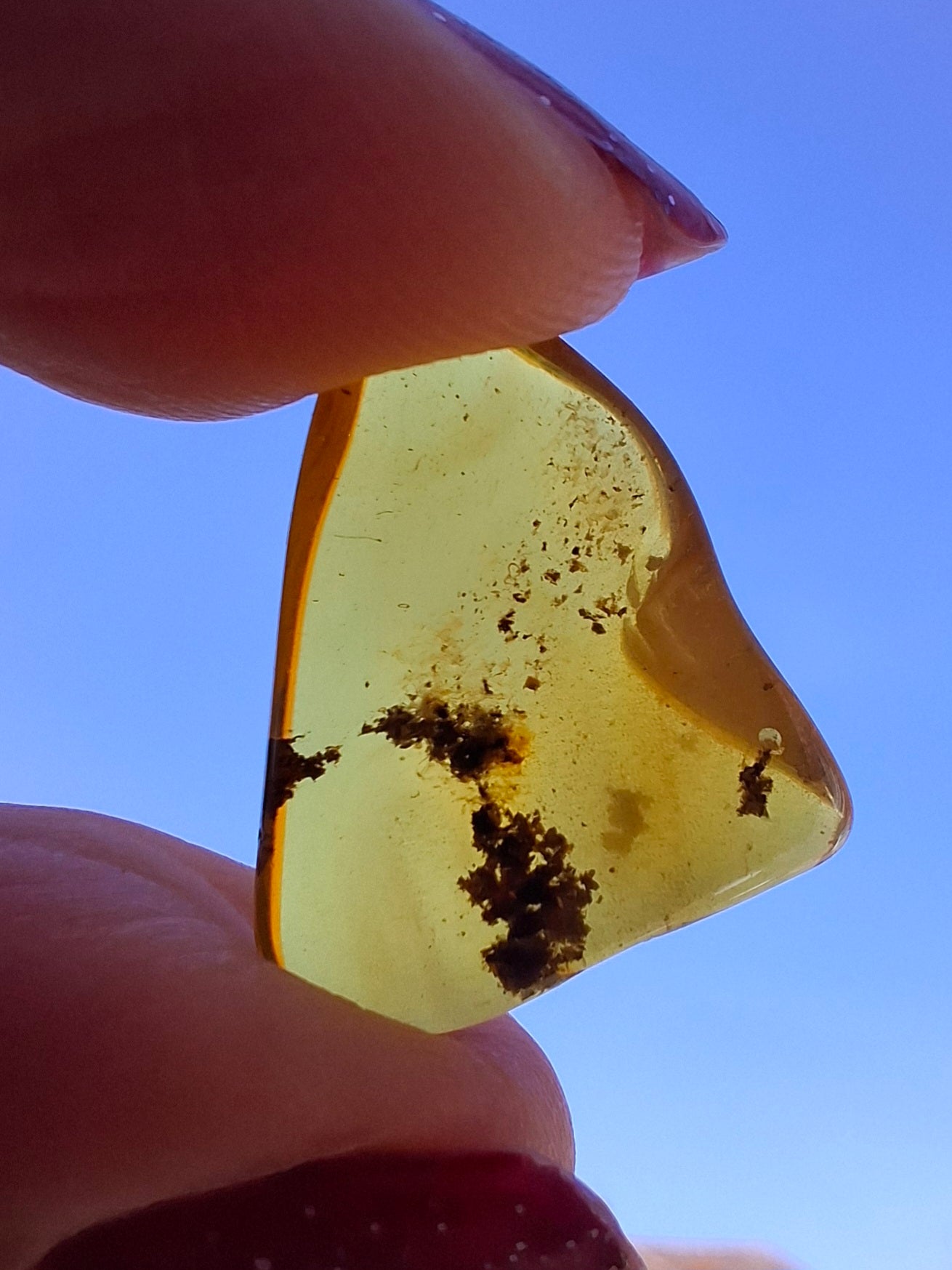 Baltic Amber, 0.91g, Fossil (Ref: A240)