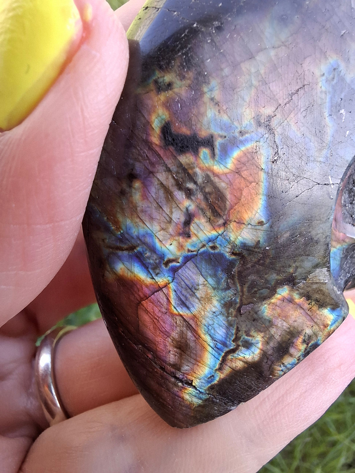 Labradorite Ammonite Carving, 89.31g, Crystal (Ref: laba6)
