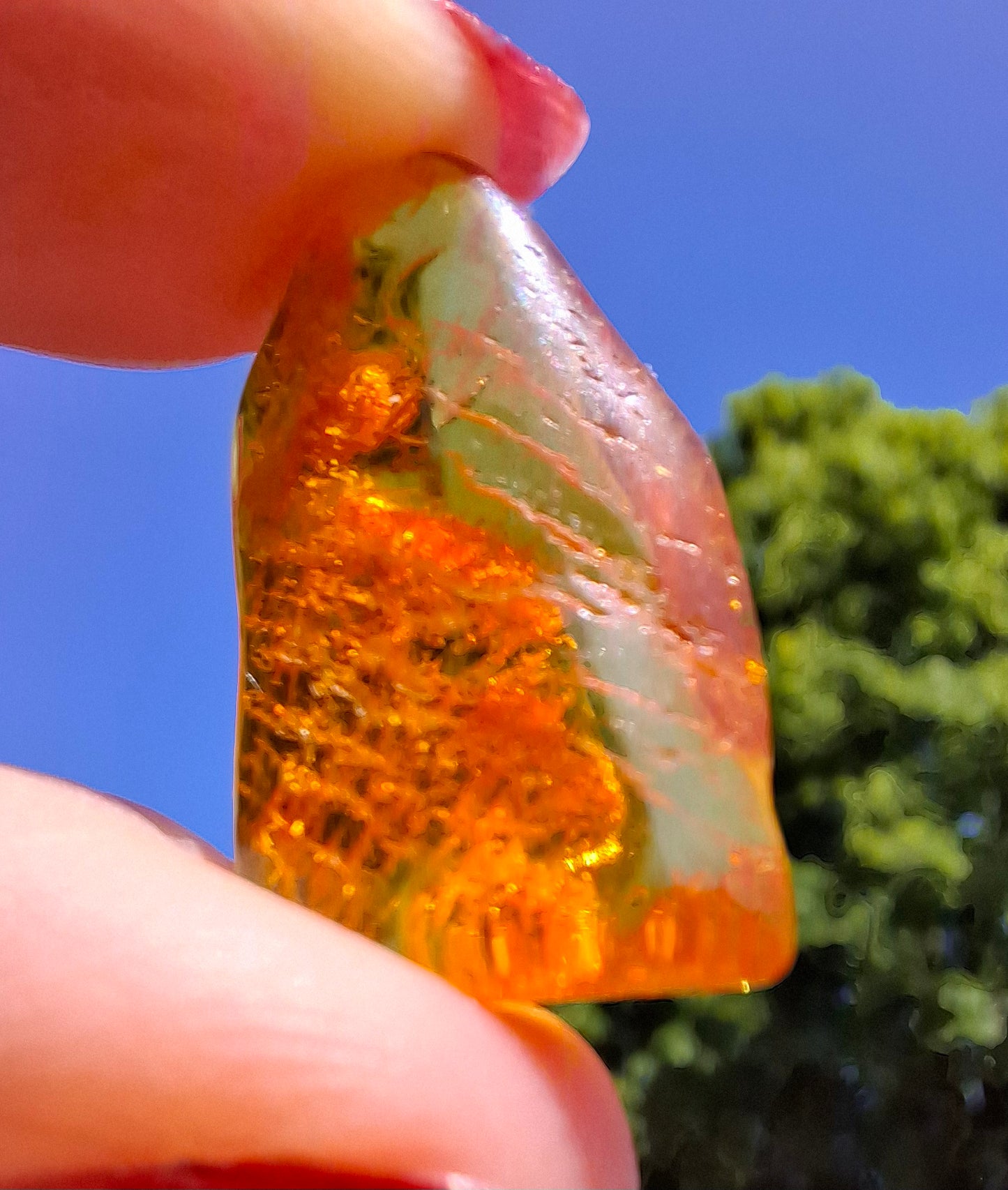 Baltic Amber, 1.11g, Fossil (Ref: A255)