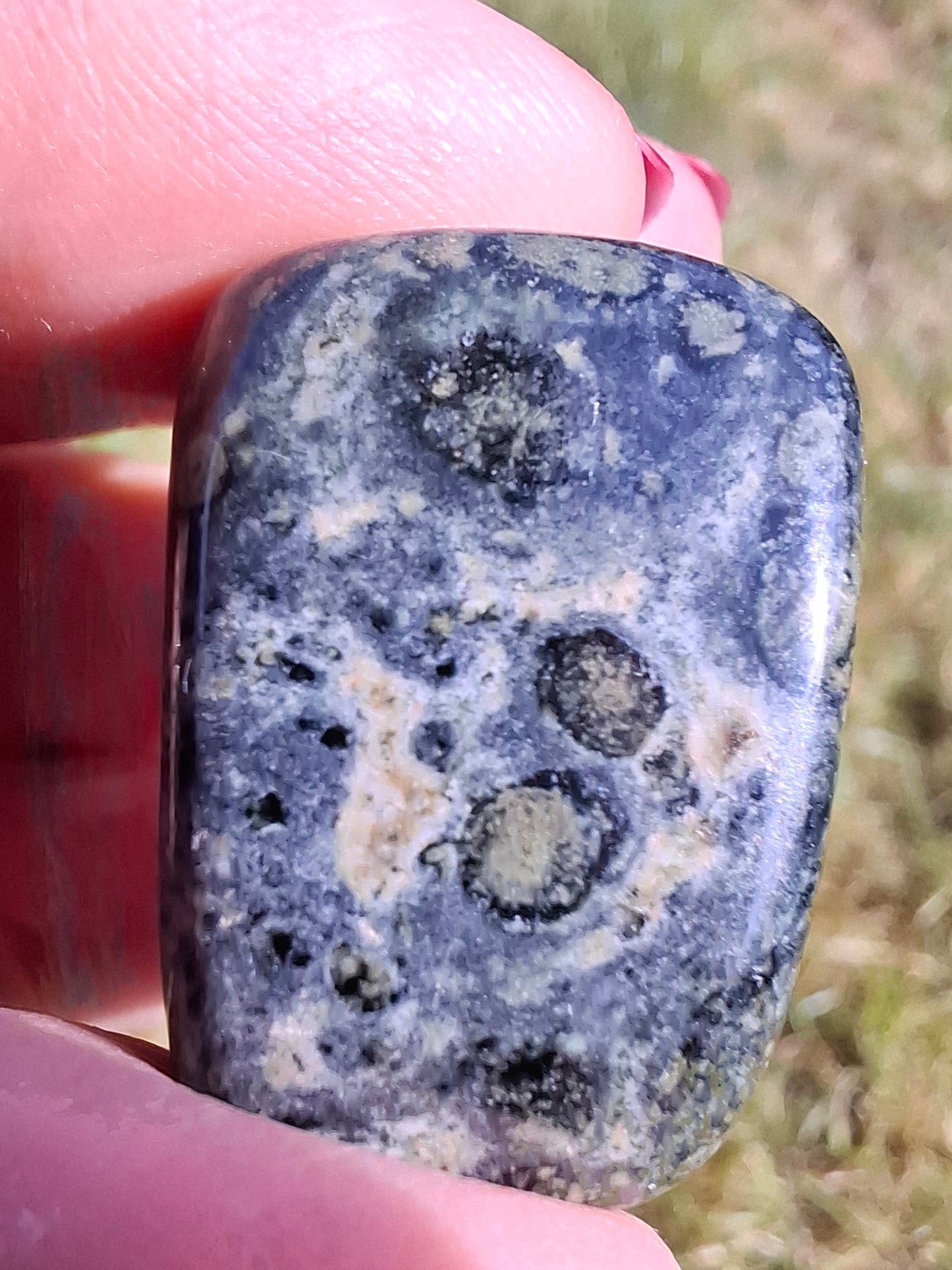 Kambaba Jasper, Tumble Stone, Crystal (Ref: T164)