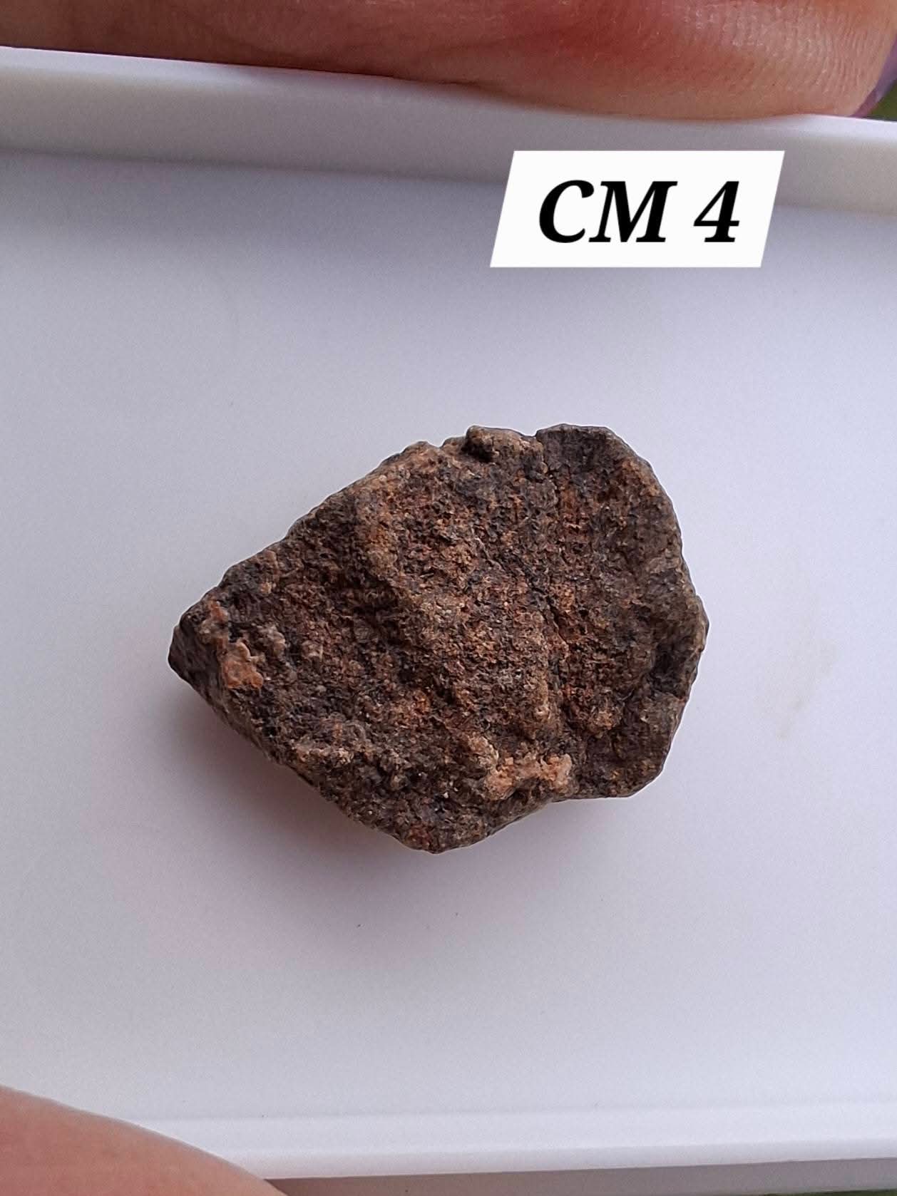 Chrondrite, Meteorite (Ref: CM4)